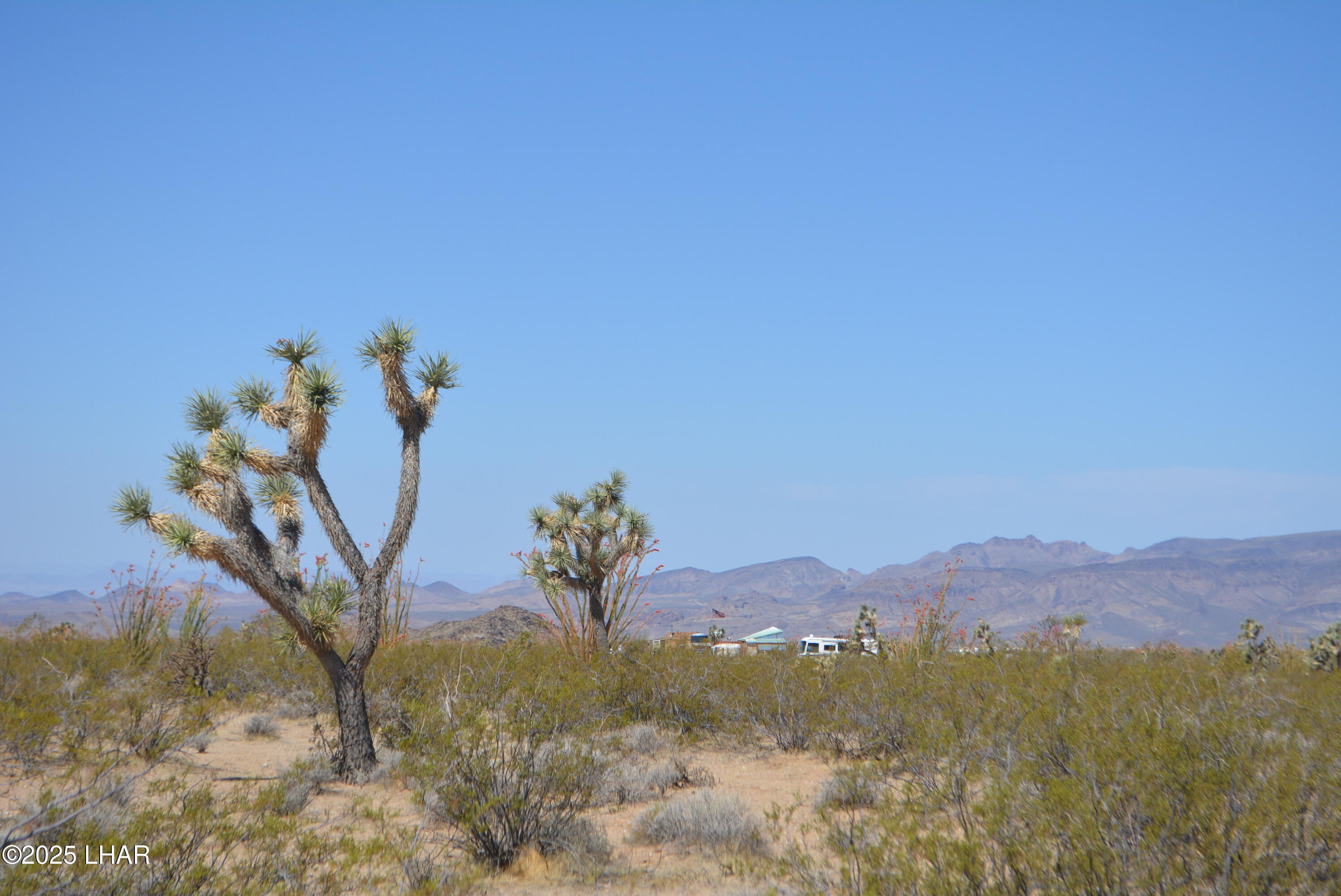 Lot P6 South A S Suzette Road Yucca, AZ 86438 - Photo 31 of 98 DSC_1566