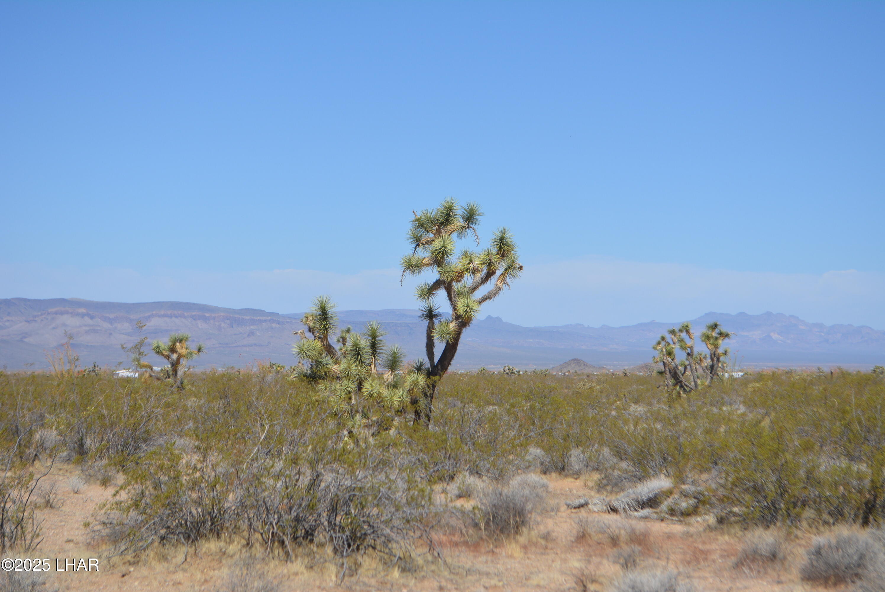 Lot P6 South A S Suzette Road Yucca, AZ 86438 - Photo 32 of 98 DSC_1567