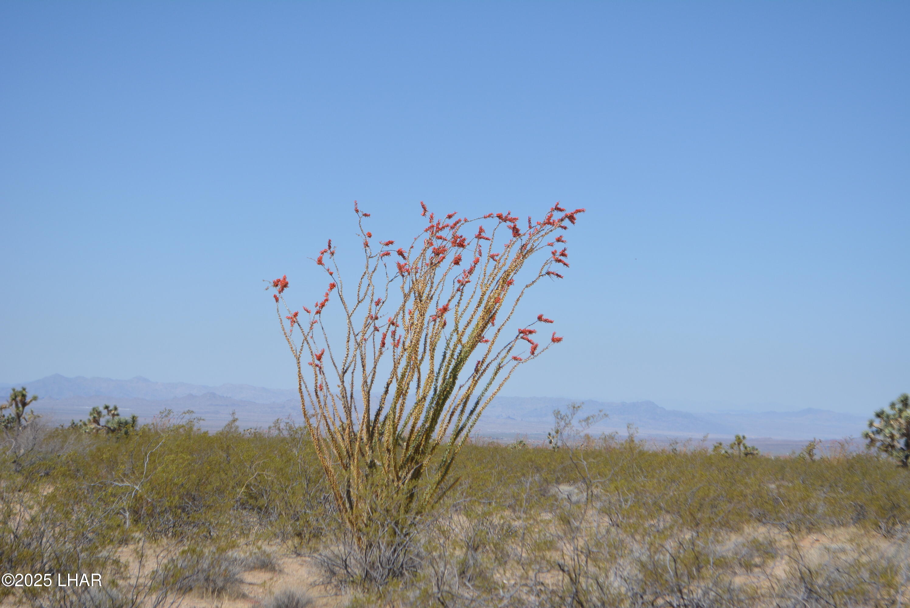 Lot P6 South A S Suzette Road Yucca, AZ 86438 - Photo 33 of 98 DSC_1568