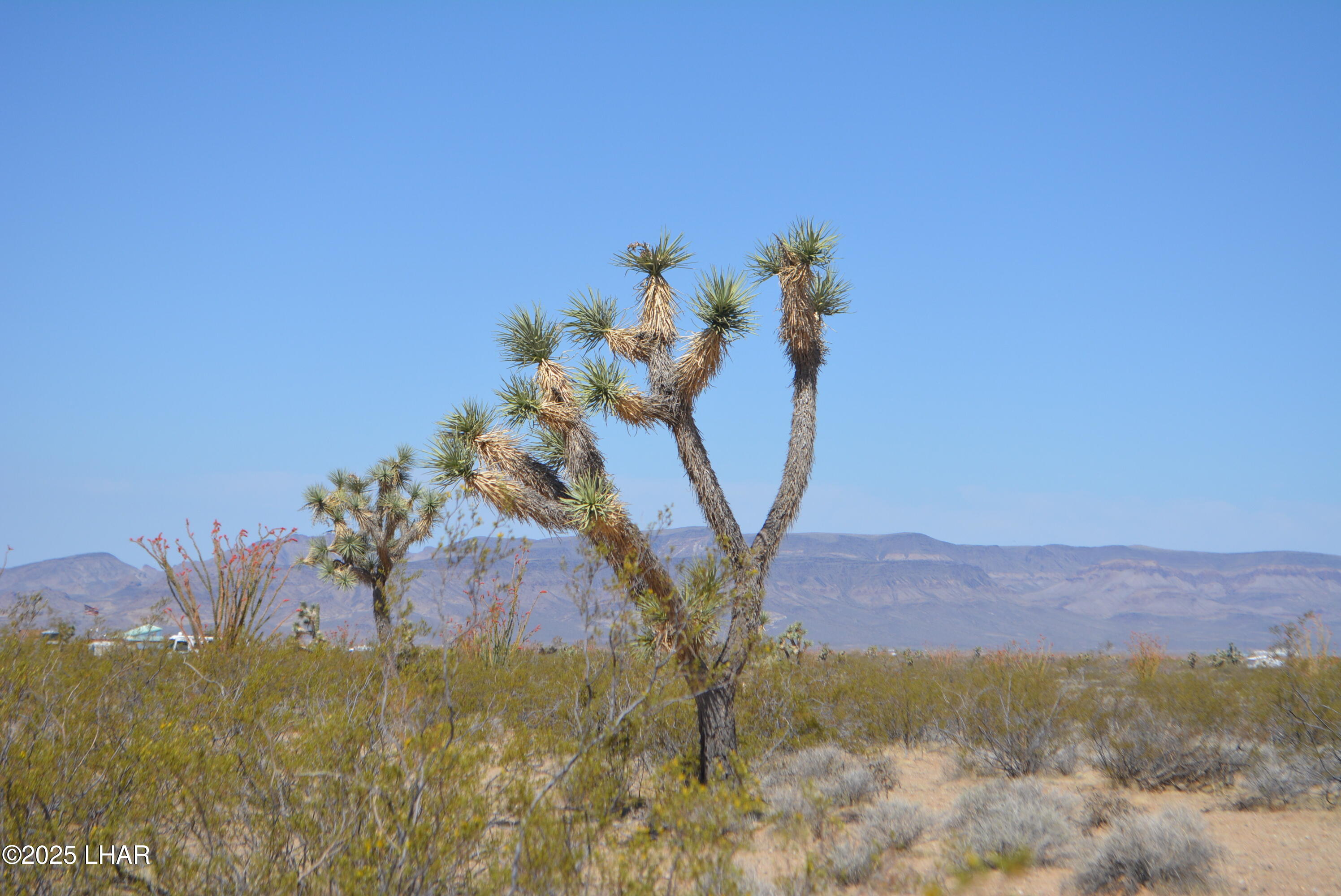 Lot P6 South A S Suzette Road Yucca, AZ 86438 - Photo 34 of 98 DSC_1569