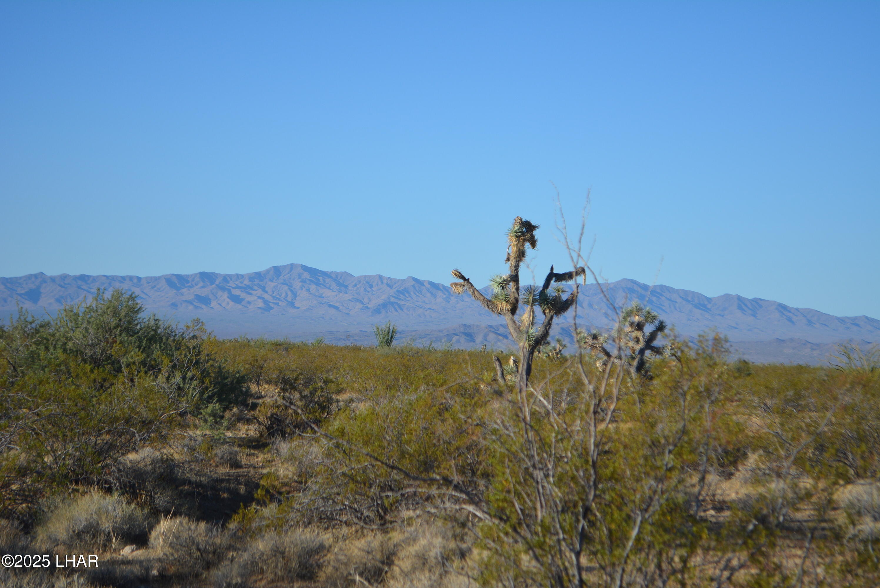 Lot P6 South A S Suzette Road Yucca, AZ 86438 - Photo 36 of 98 DSC_0418