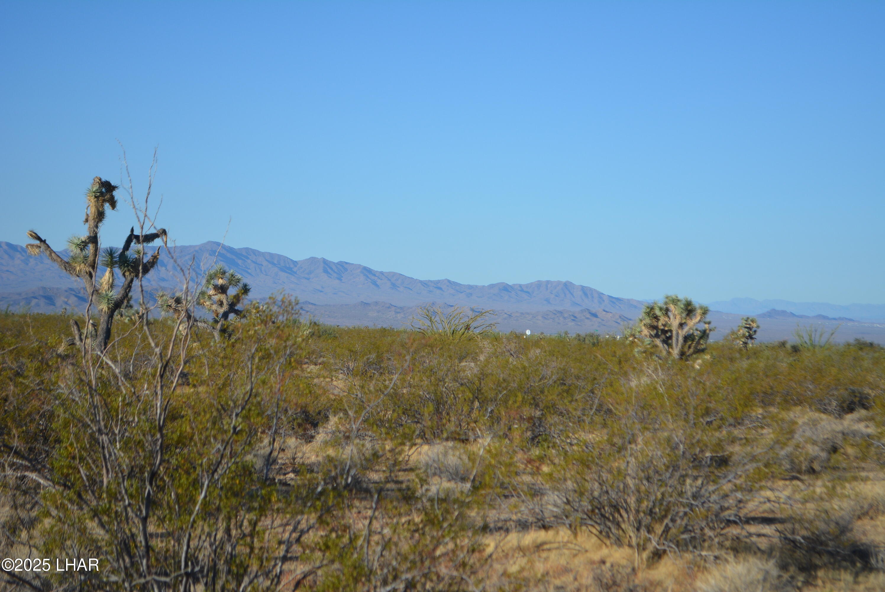 Lot P6 South A S Suzette Road Yucca, AZ 86438 - Photo 37 of 98 DSC_0419