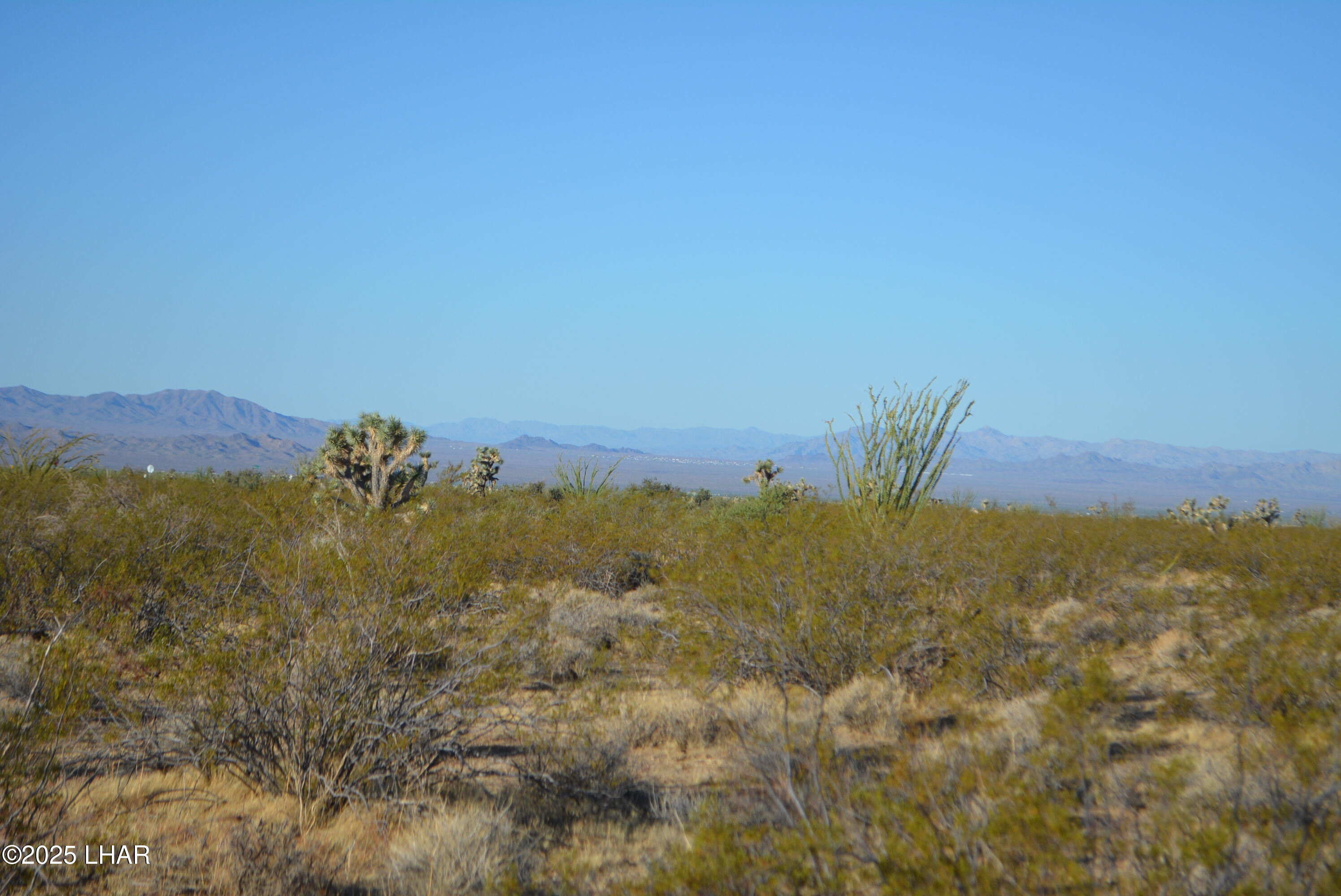 Lot P6 South A S Suzette Road Yucca, AZ 86438 - Photo 38 of 98 DSC_0420