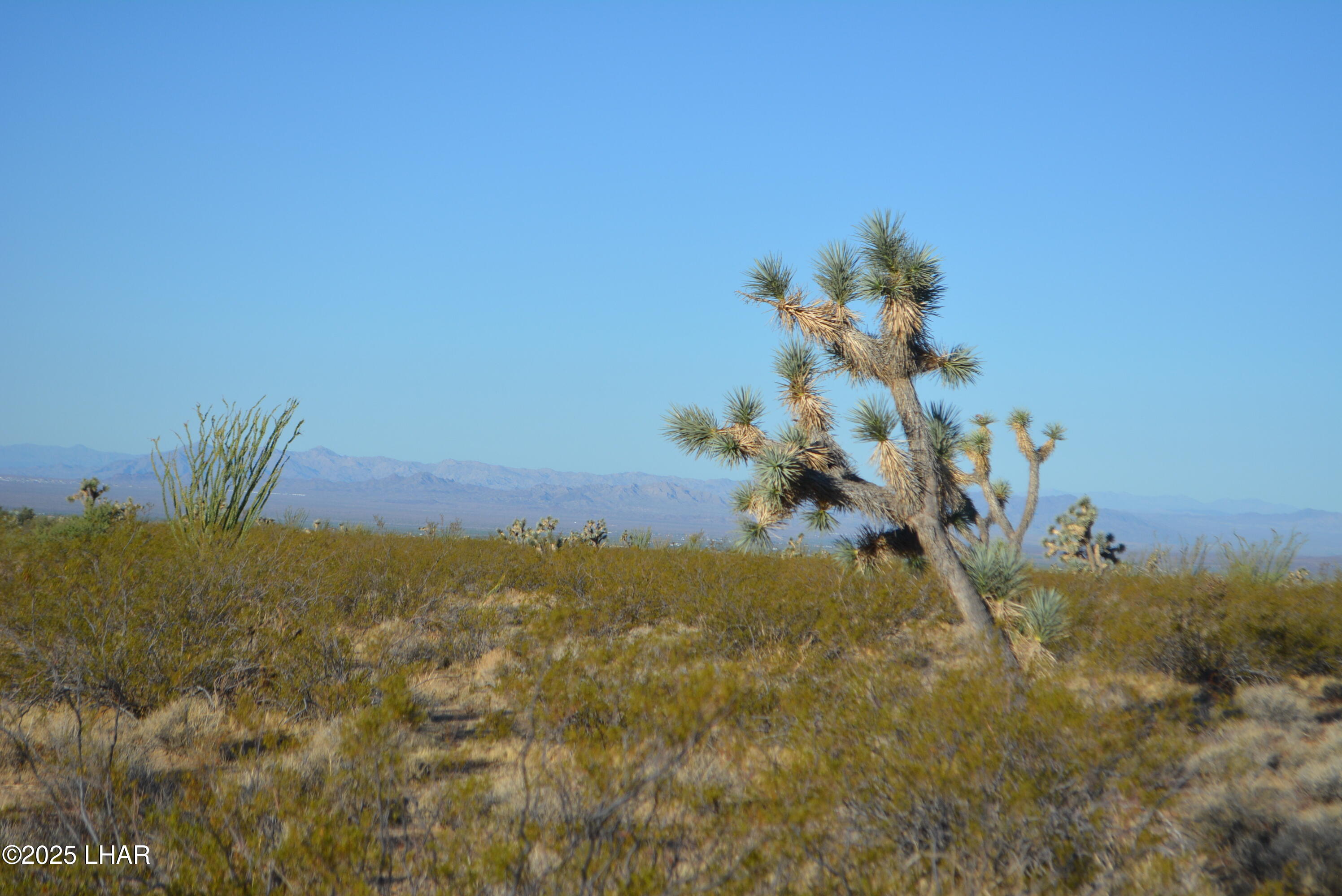 Lot P6 South A S Suzette Road Yucca, AZ 86438 - Photo 39 of 98 DSC_0421