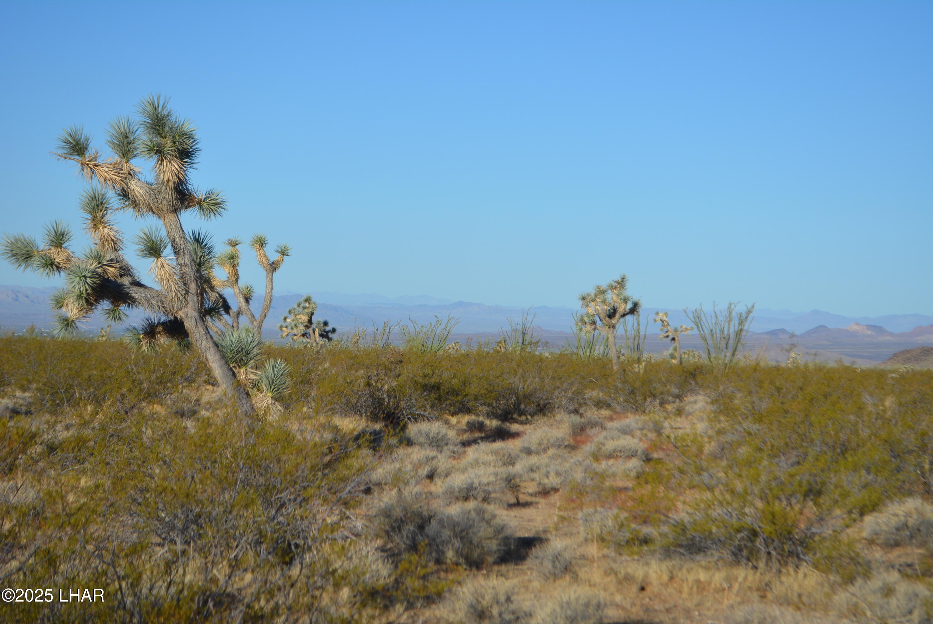 Lot P6 South A S Suzette Road Yucca, AZ 86438 - Photo 40 of 98 DSC_0422