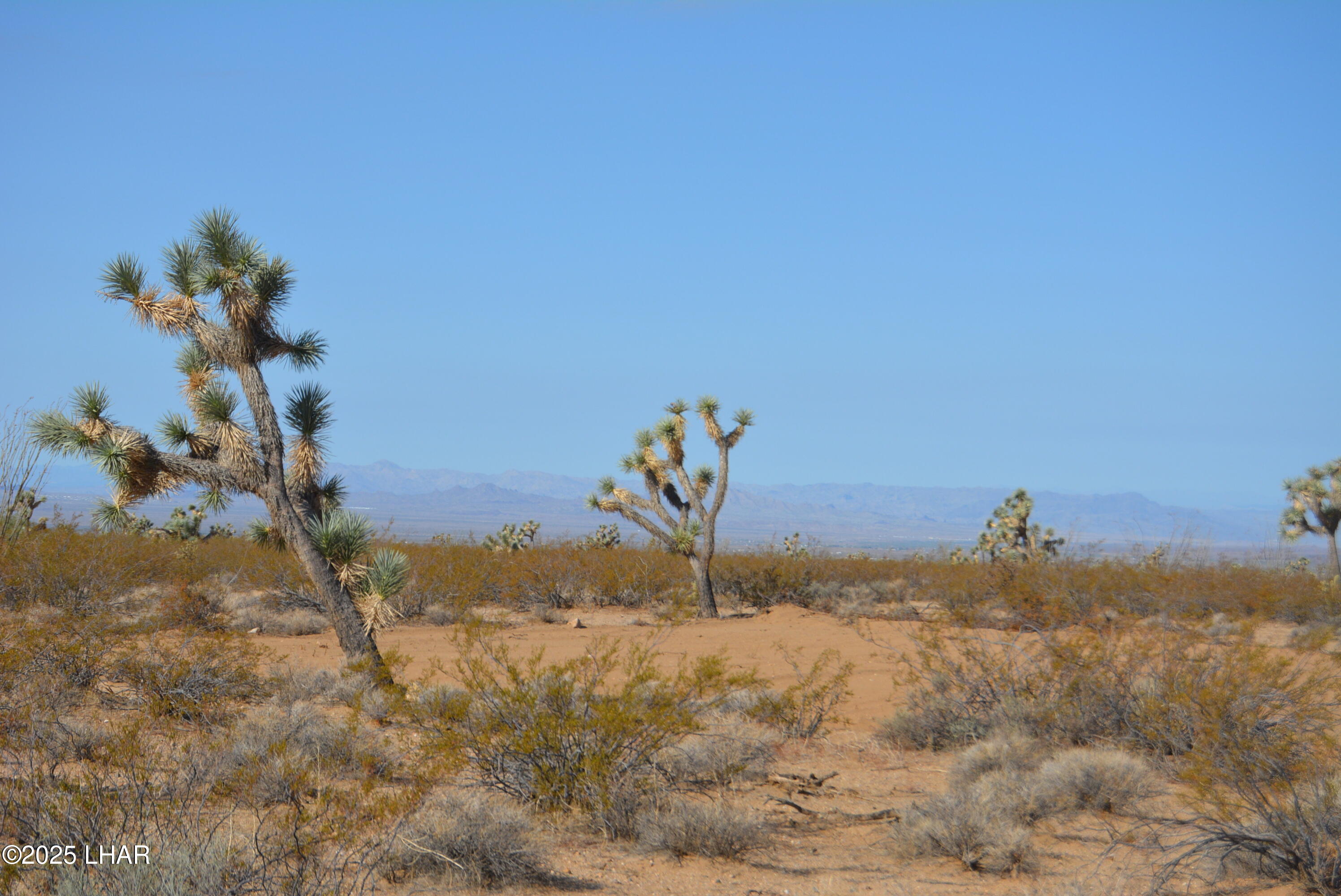 Lot P6 South A S Suzette Road Yucca, AZ 86438 - Photo 4 of 98 DSC_0375