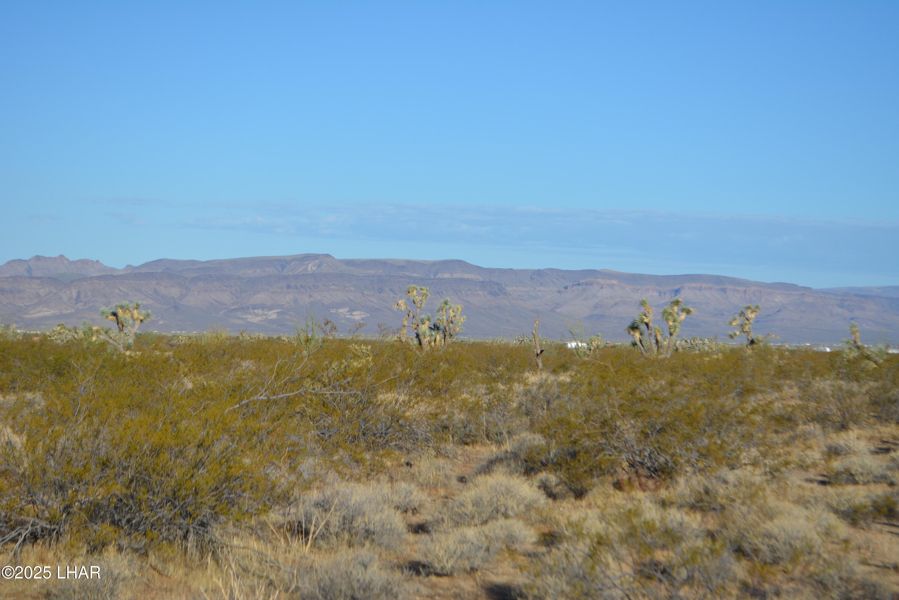 Lot P6 South A S Suzette Road Yucca, AZ 86438 - Photo 43 of 98 DSC_0425