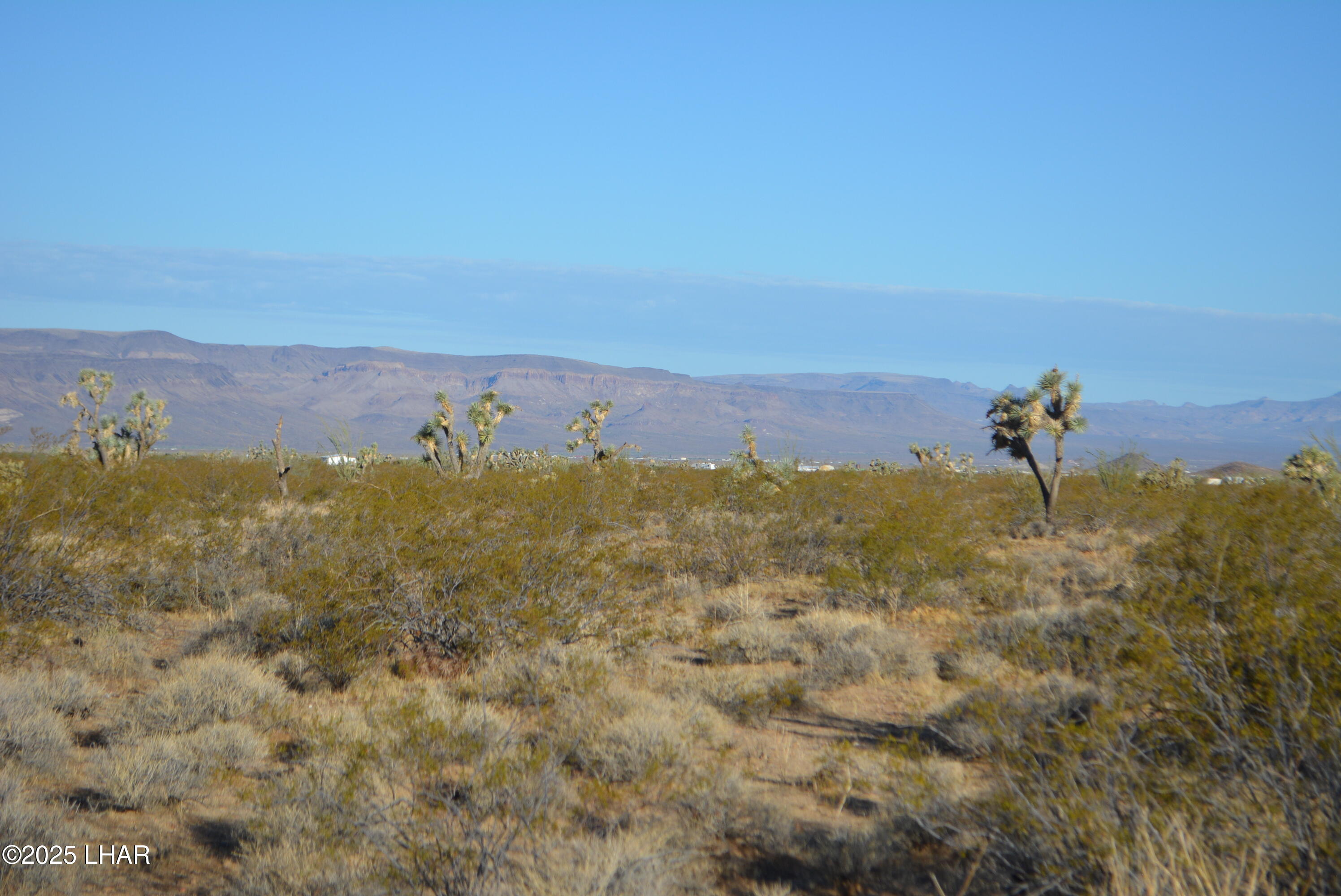 Lot P6 South A S Suzette Road Yucca, AZ 86438 - Photo 44 of 98 DSC_0426