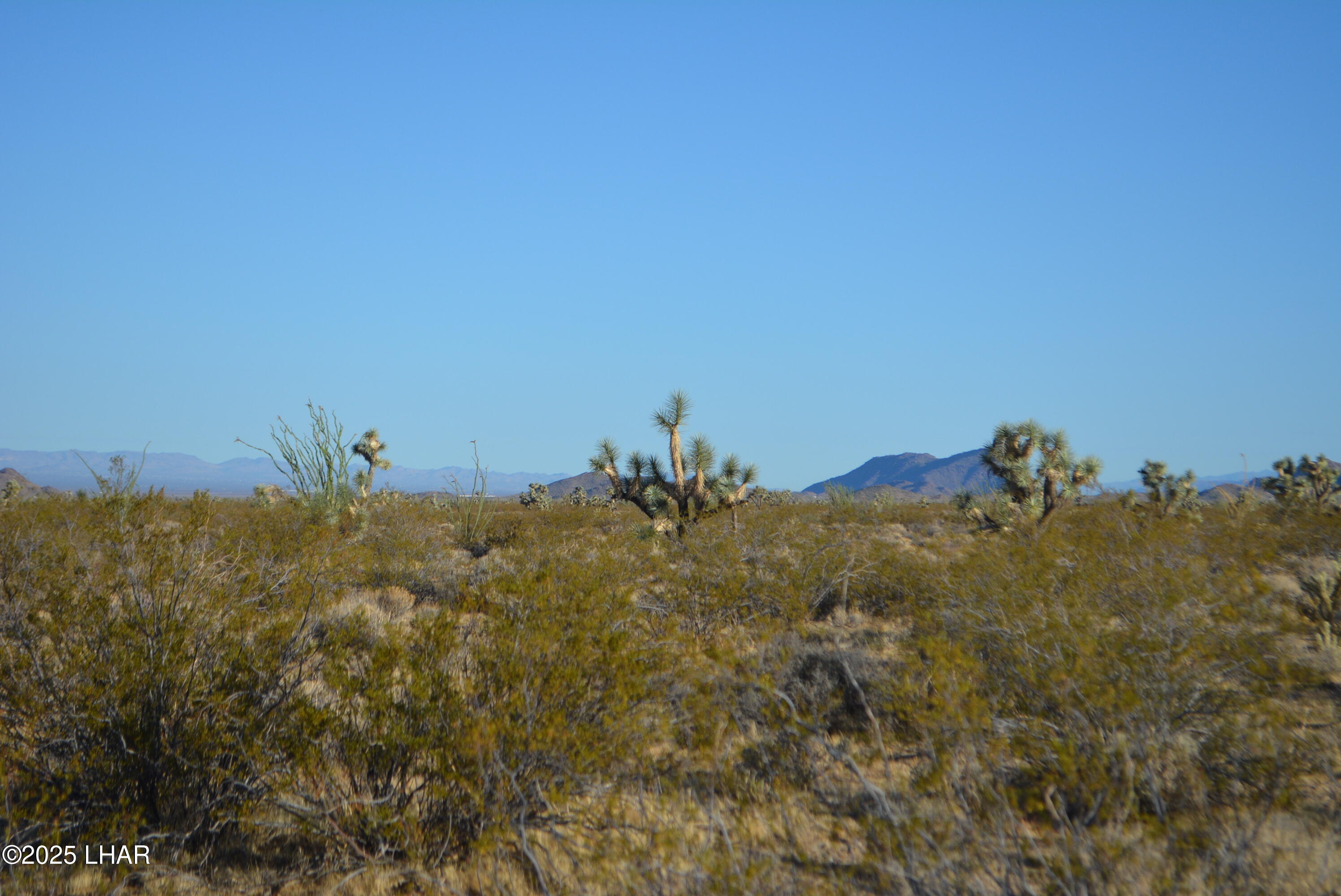Lot P6 South A S Suzette Road Yucca, AZ 86438 - Photo 46 of 98 DSC_0429