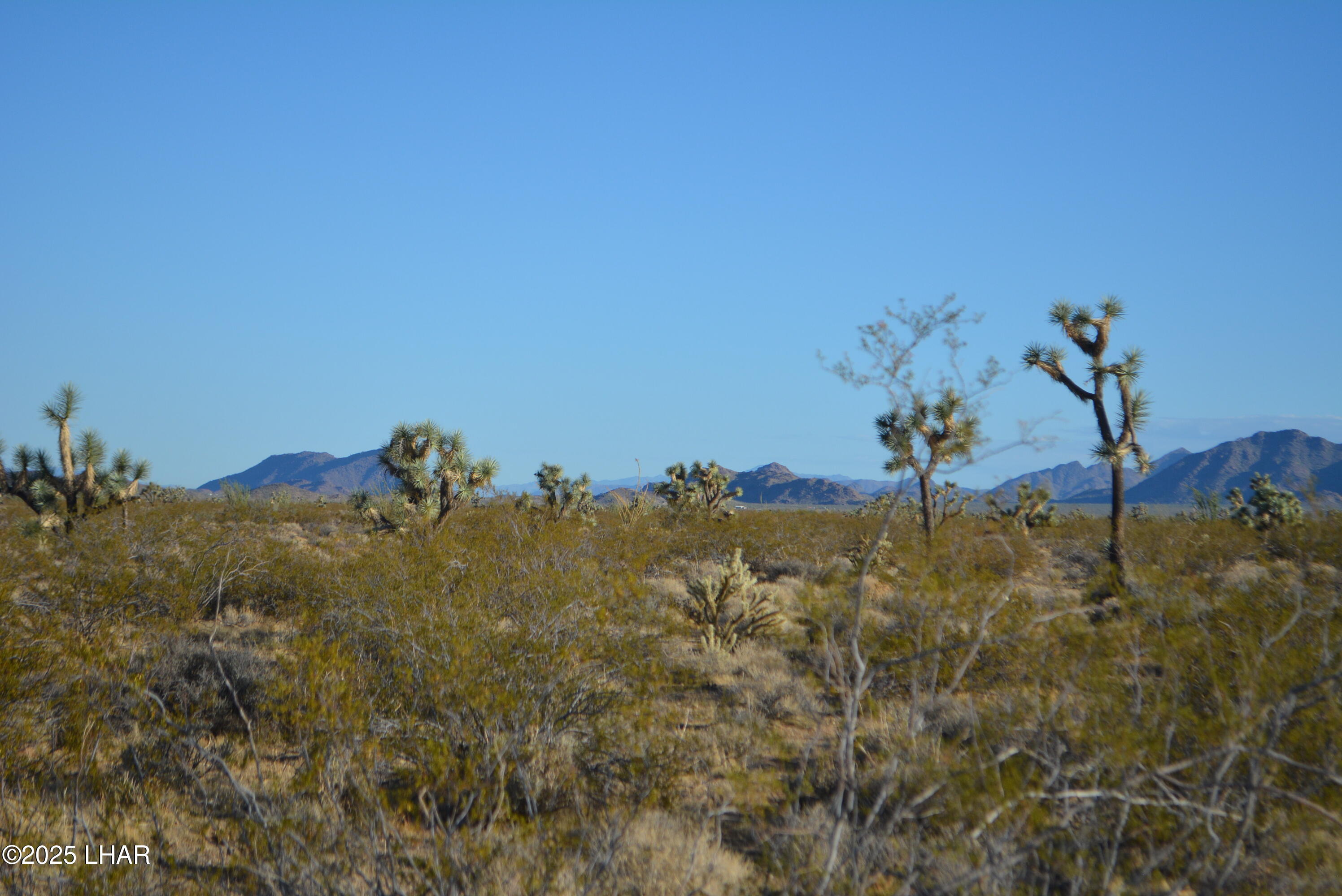 Lot P6 South A S Suzette Road Yucca, AZ 86438 - Photo 47 of 98 DSC_0430