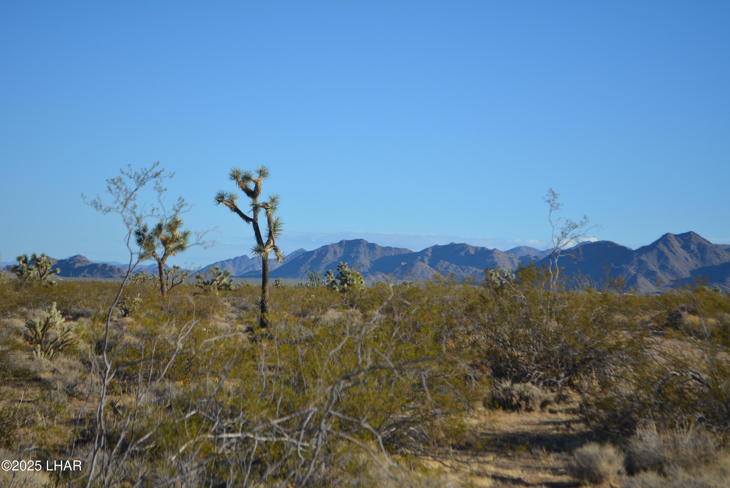 Lot P6 South A S Suzette Road Yucca, AZ 86438 - Photo 48 of 98 DSC_0431