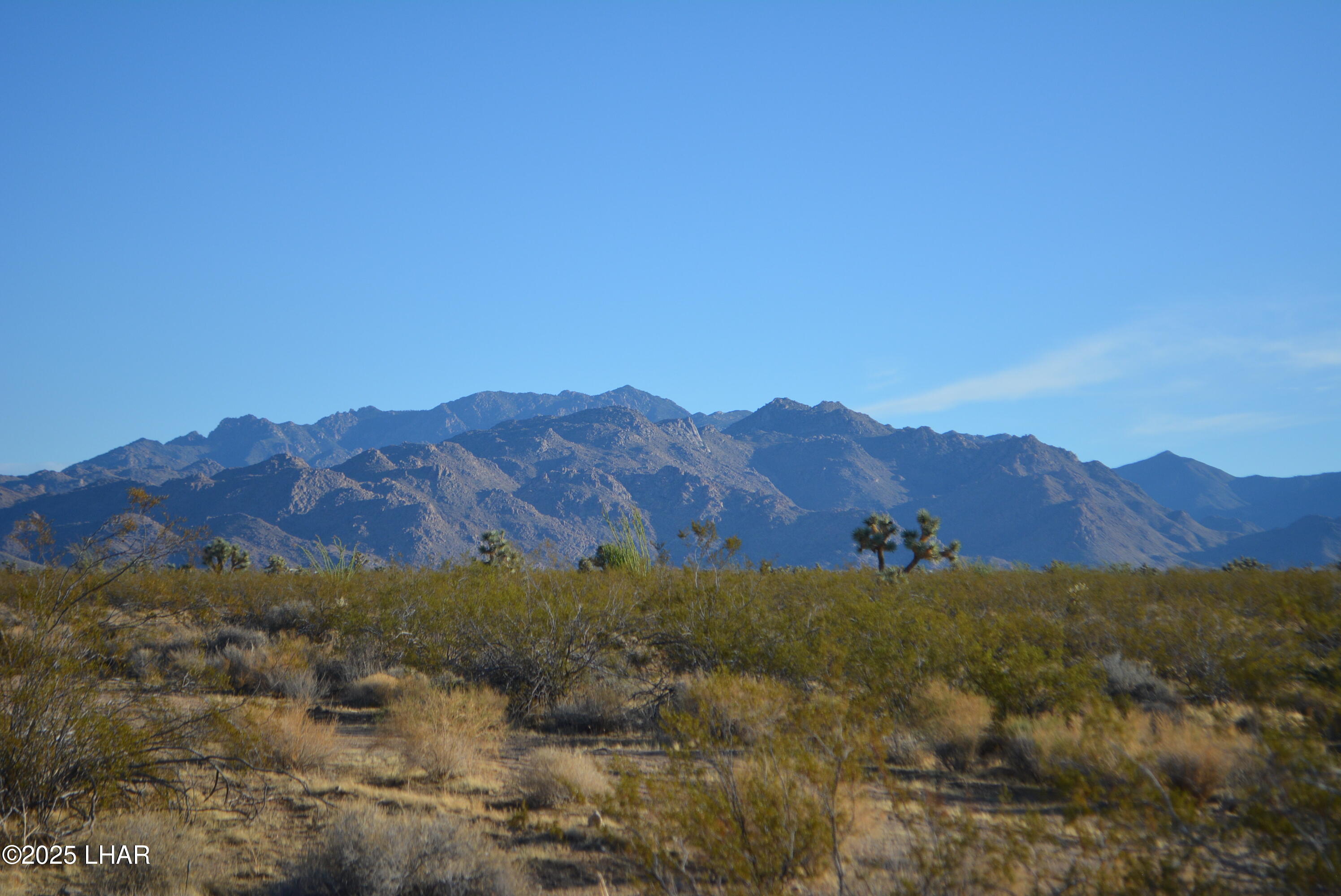 Lot P6 South A S Suzette Road Yucca, AZ 86438 - Photo 50 of 98 DSC_0433
