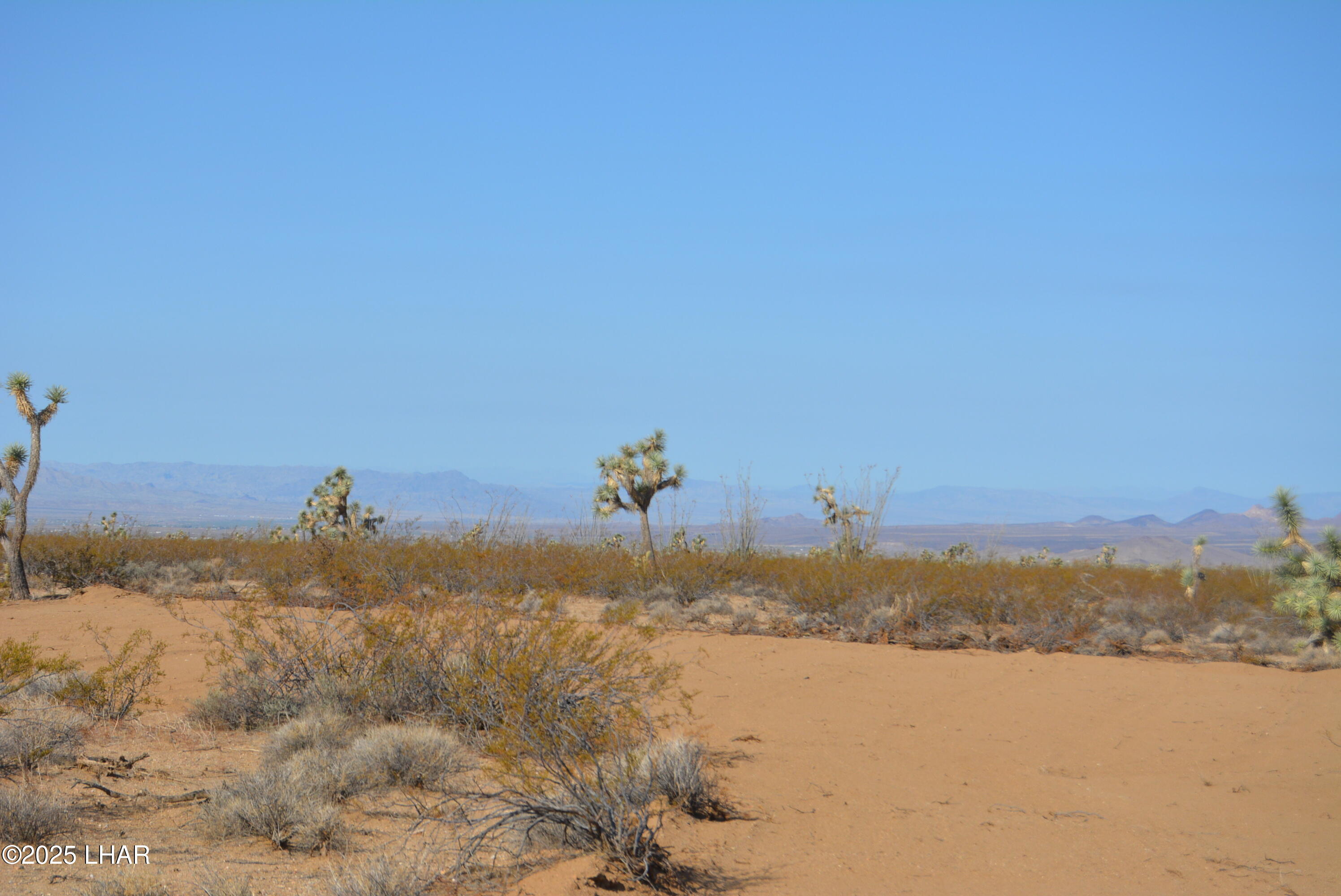 Lot P6 South A S Suzette Road Yucca, AZ 86438 - Photo 5 of 98 DSC_0376