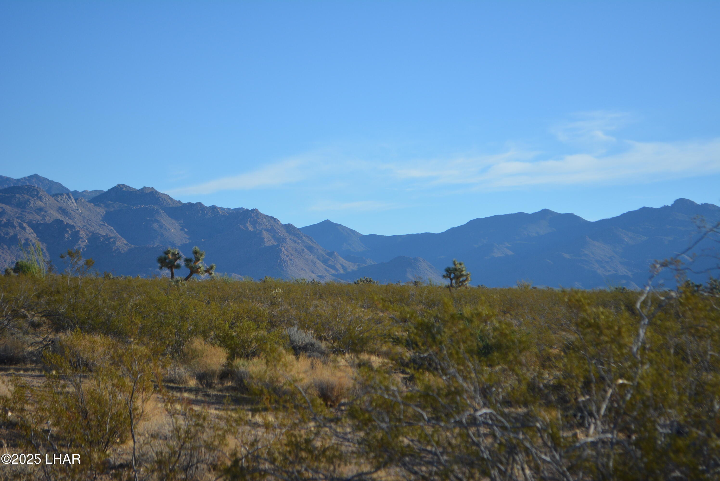 Lot P6 South A S Suzette Road Yucca, AZ 86438 - Photo 51 of 98 DSC_0434