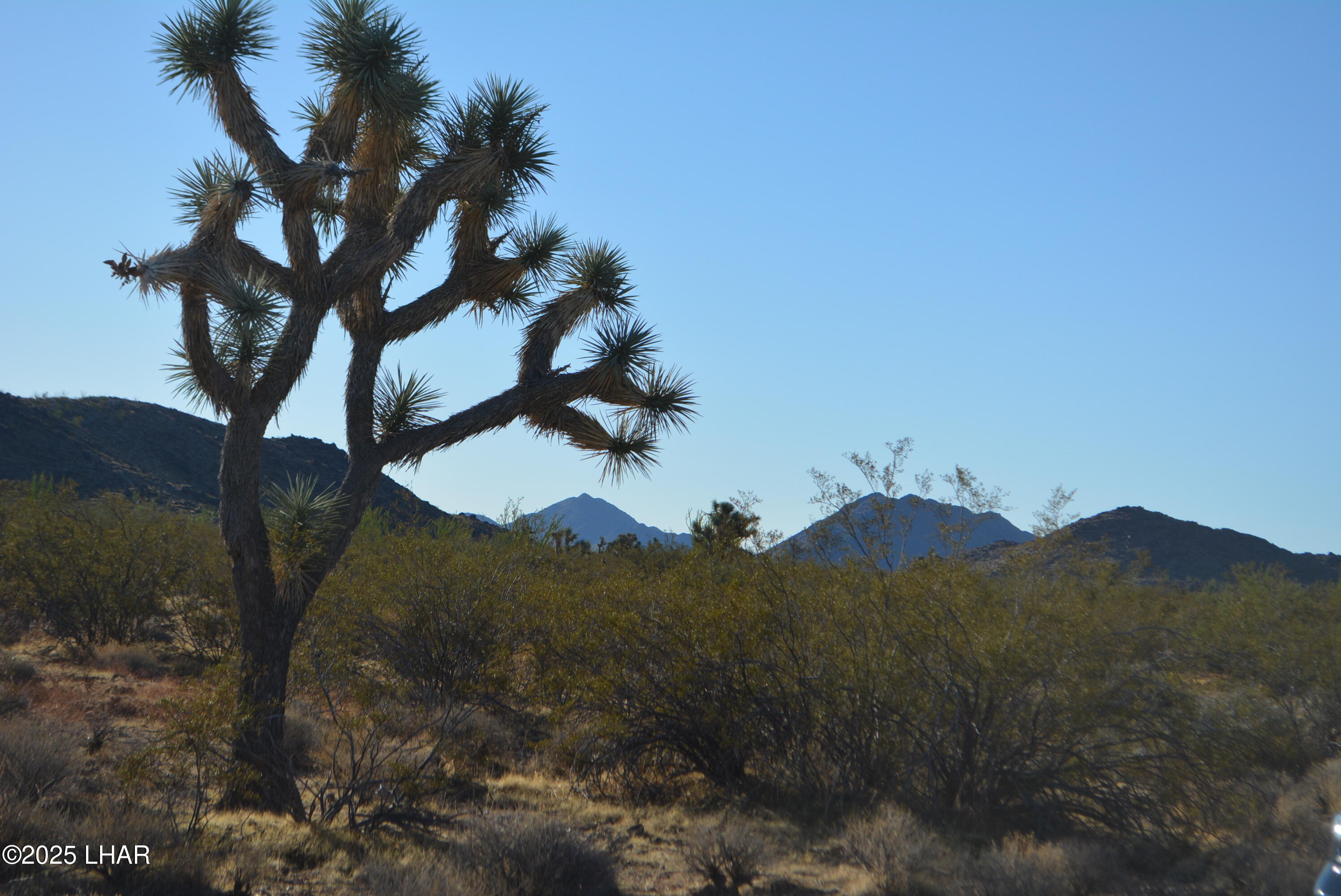Lot P6 South A S Suzette Road Yucca, AZ 86438 - Photo 56 of 98 DSC_0439