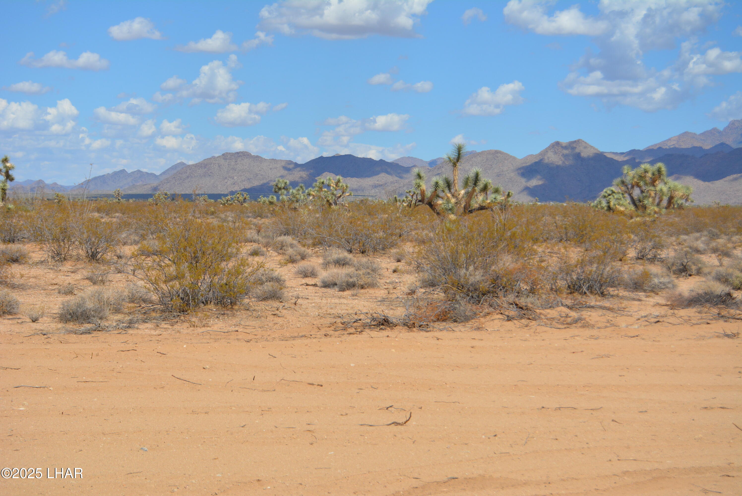 Lot P6 South A S Suzette Road Yucca, AZ 86438 - Photo 57 of 98 DSC_0497