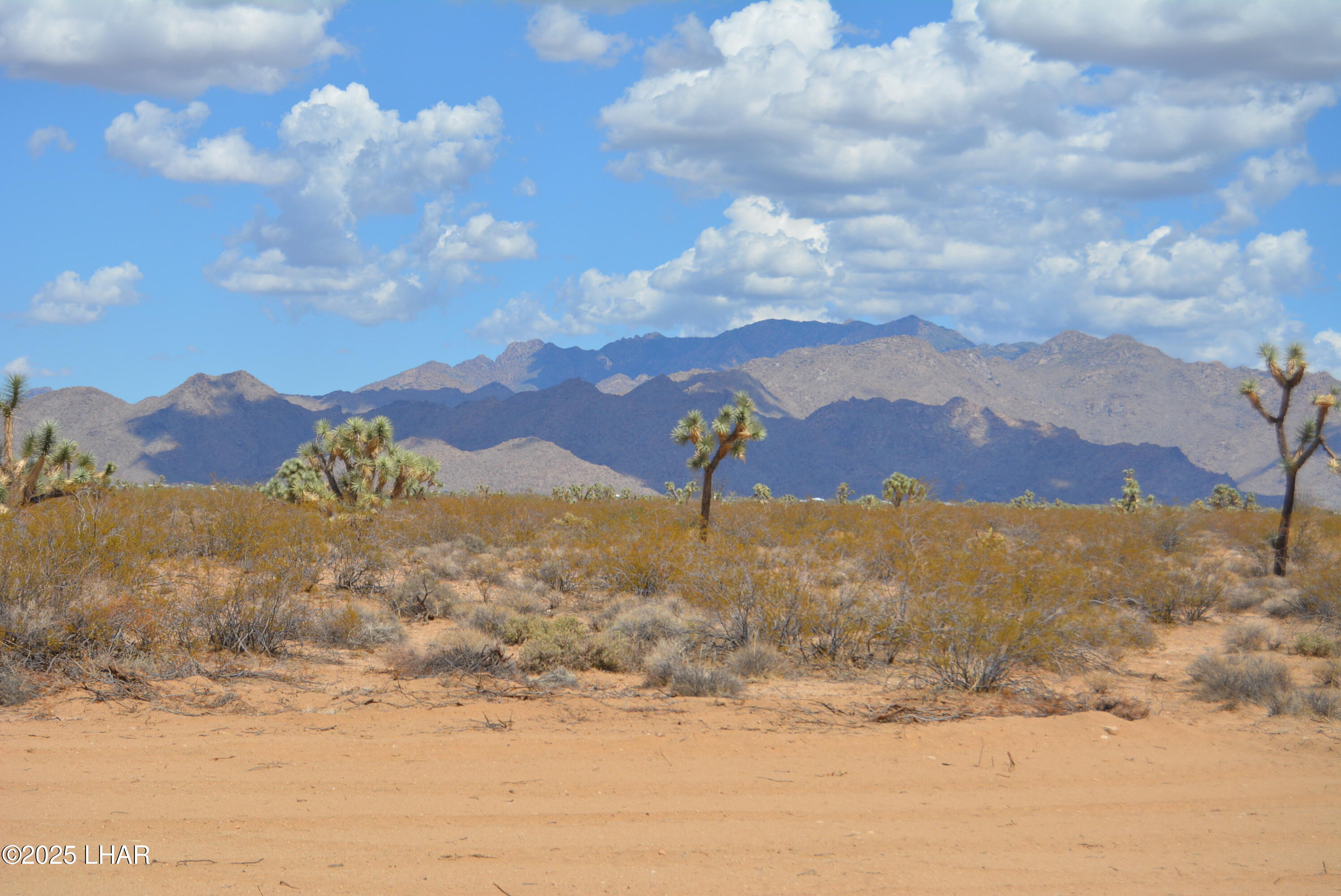 Lot P6 South A S Suzette Road Yucca, AZ 86438 - Photo 58 of 98 DSC_0498