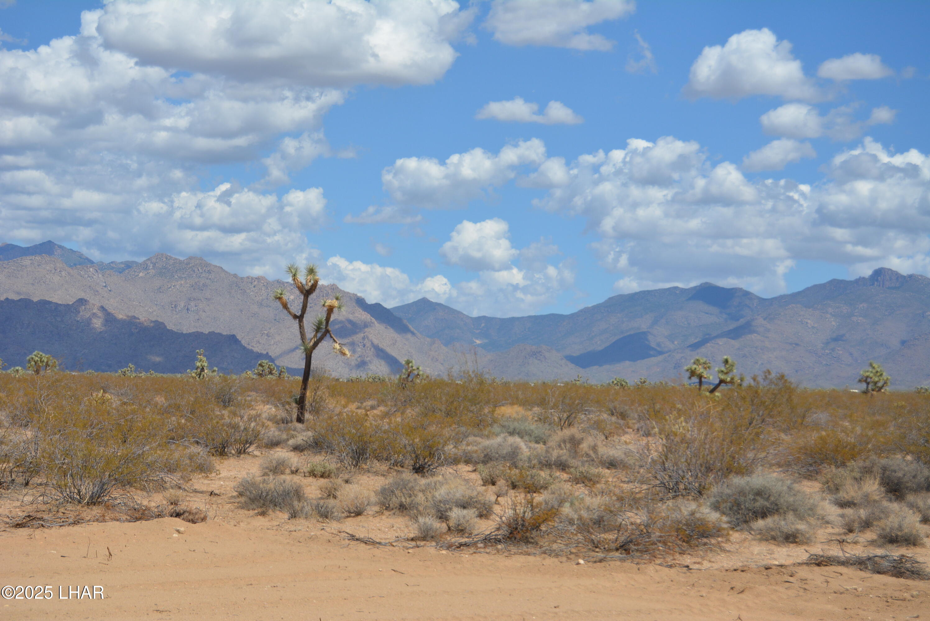 Lot P6 South A S Suzette Road Yucca, AZ 86438 - Photo 59 of 98 DSC_0499