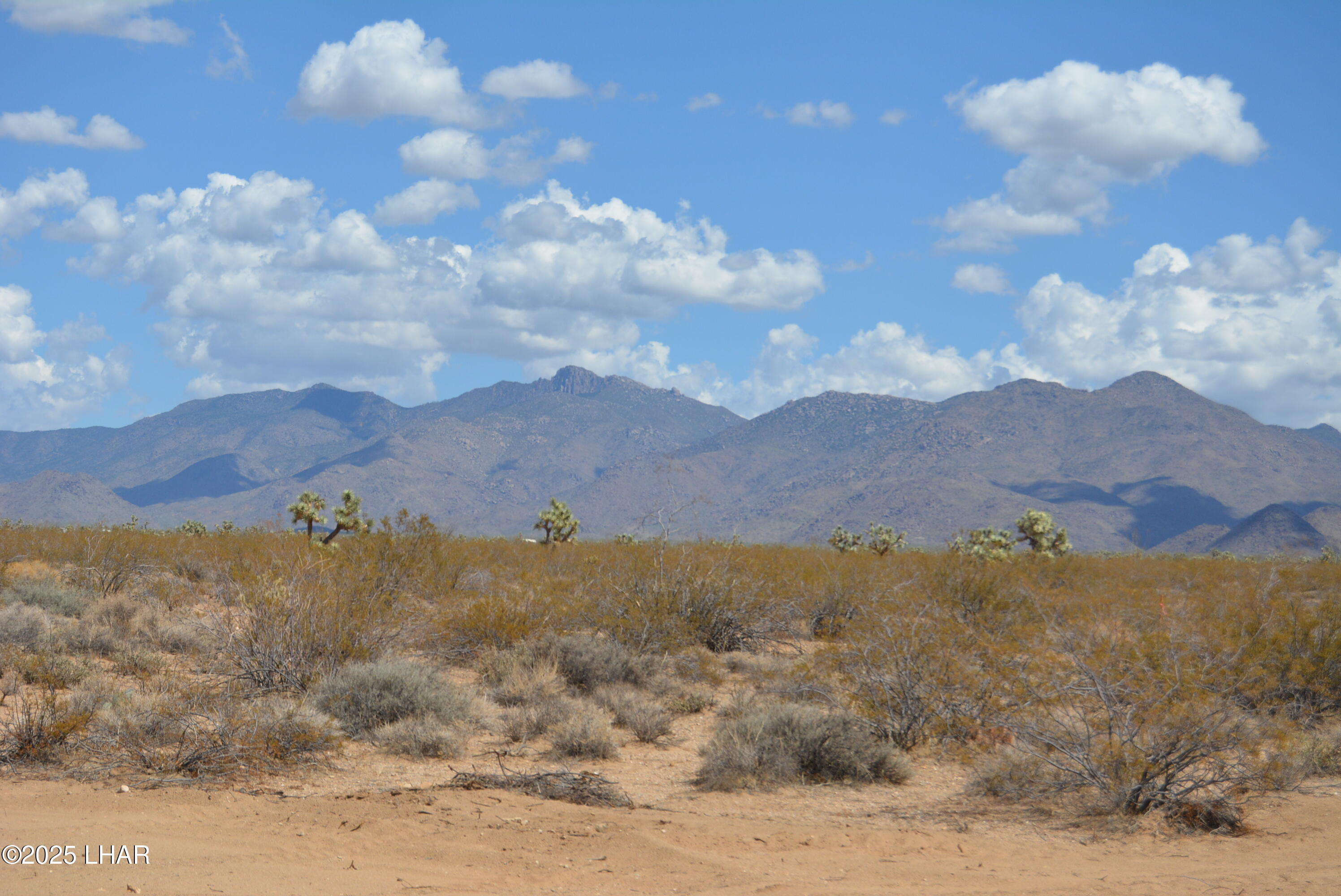Lot P6 South A S Suzette Road Yucca, AZ 86438 - Photo 60 of 98 DSC_0500