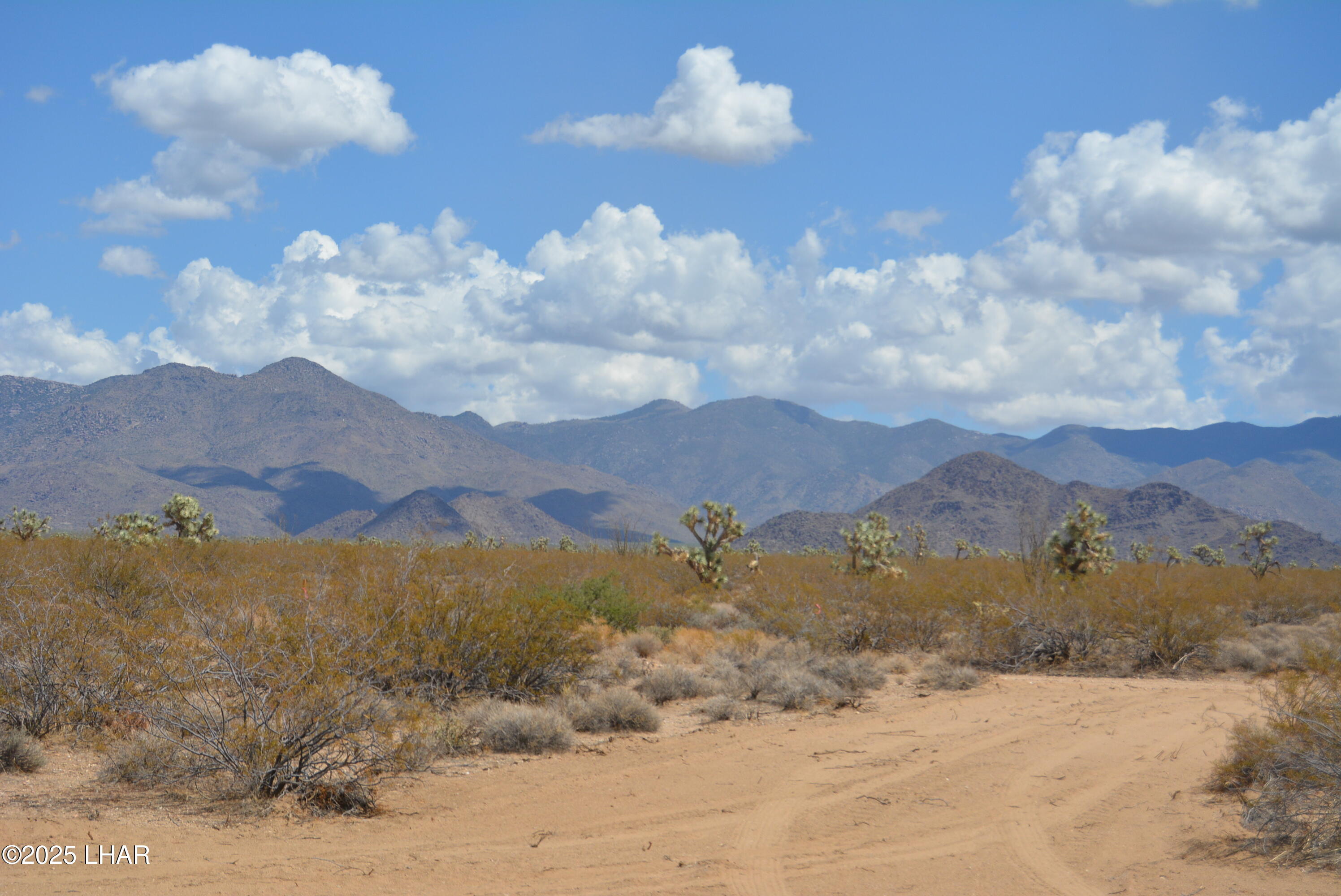 Lot P6 South A S Suzette Road Yucca, AZ 86438 - Photo 61 of 98 DSC_0501