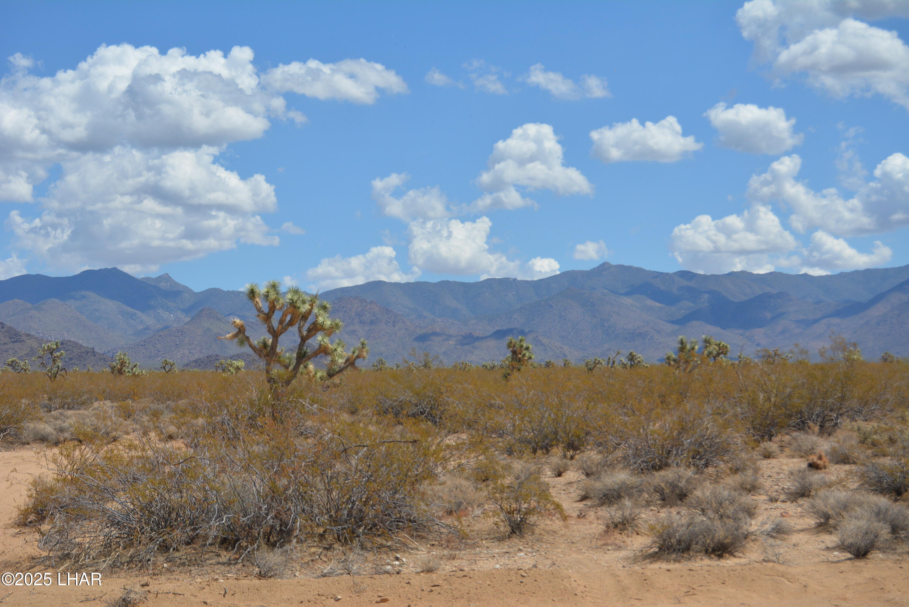Lot P6 South A S Suzette Road Yucca, AZ 86438 - Photo 62 of 98 DSC_0502