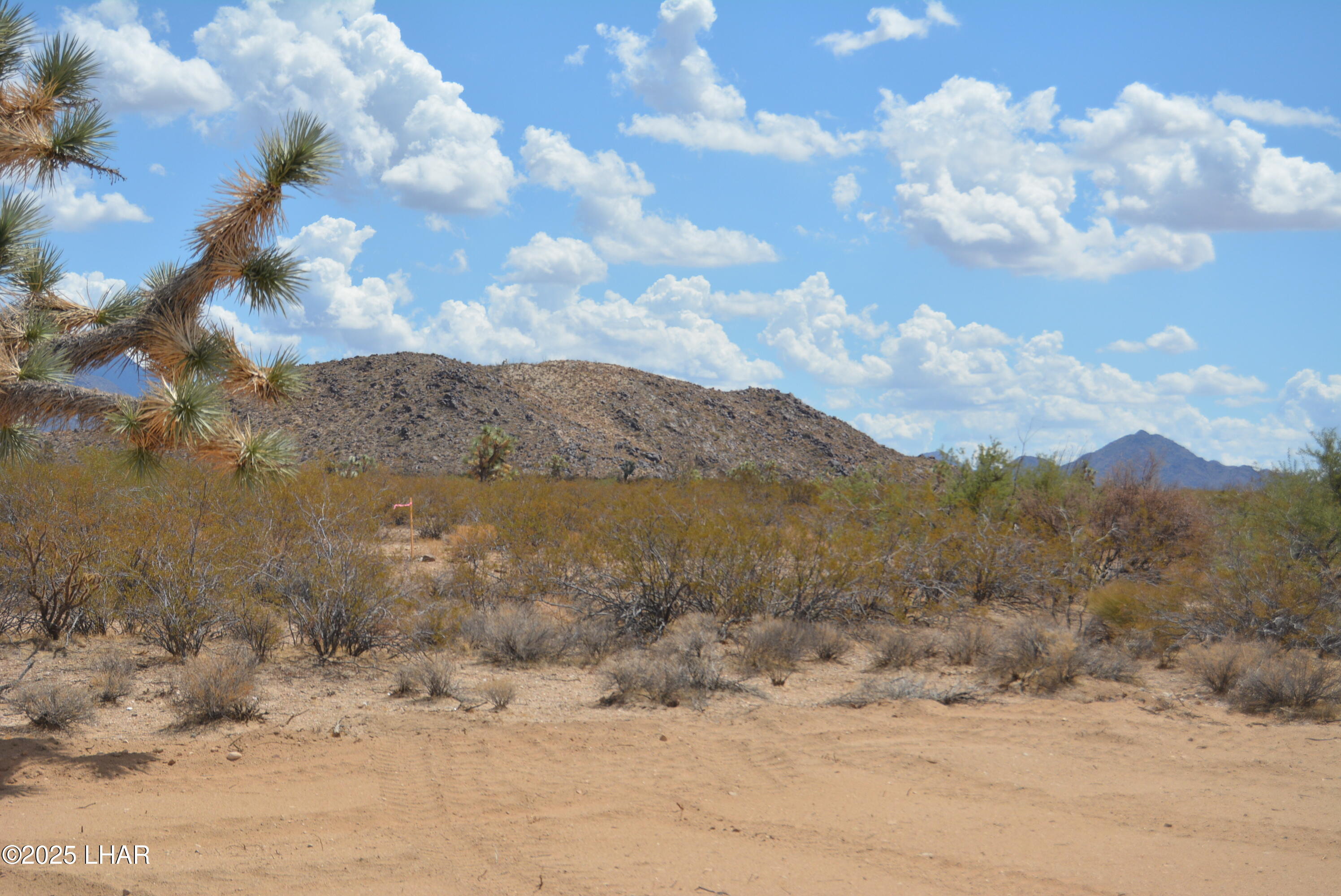 Lot P6 South A S Suzette Road Yucca, AZ 86438 - Photo 63 of 98 DSC_0504