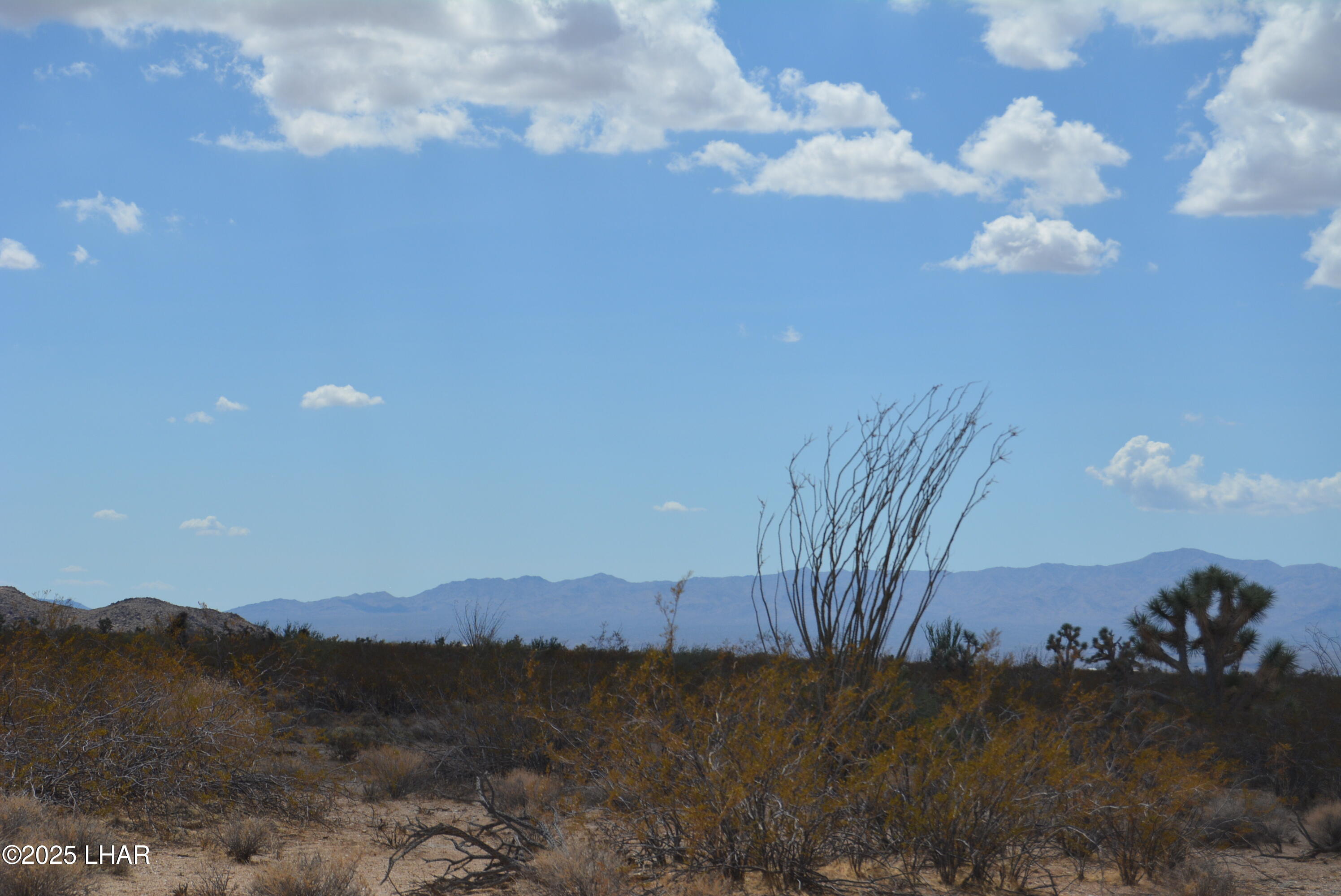 Lot P6 South A S Suzette Road Yucca, AZ 86438 - Photo 66 of 98 DSC_0508