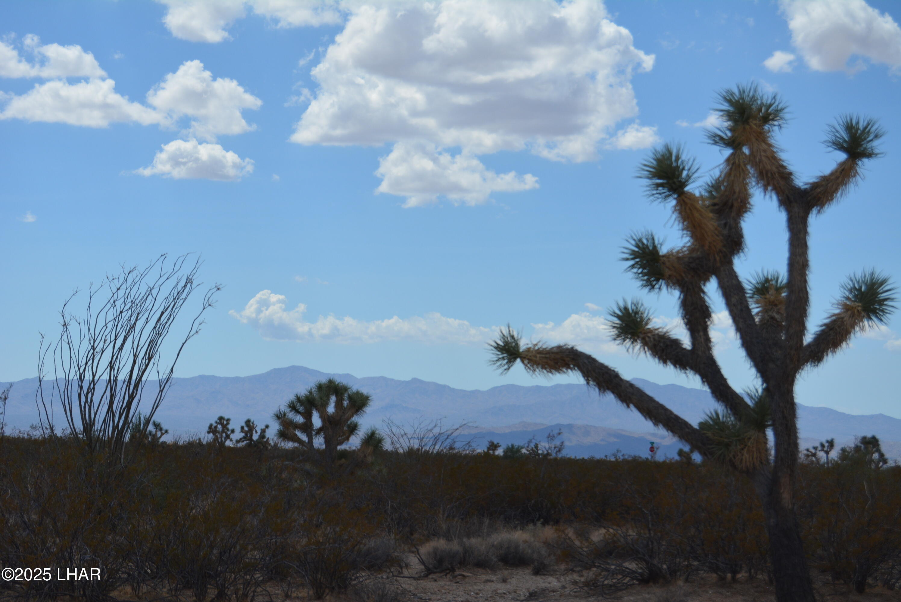 Lot P6 South A S Suzette Road Yucca, AZ 86438 - Photo 67 of 98 DSC_0509