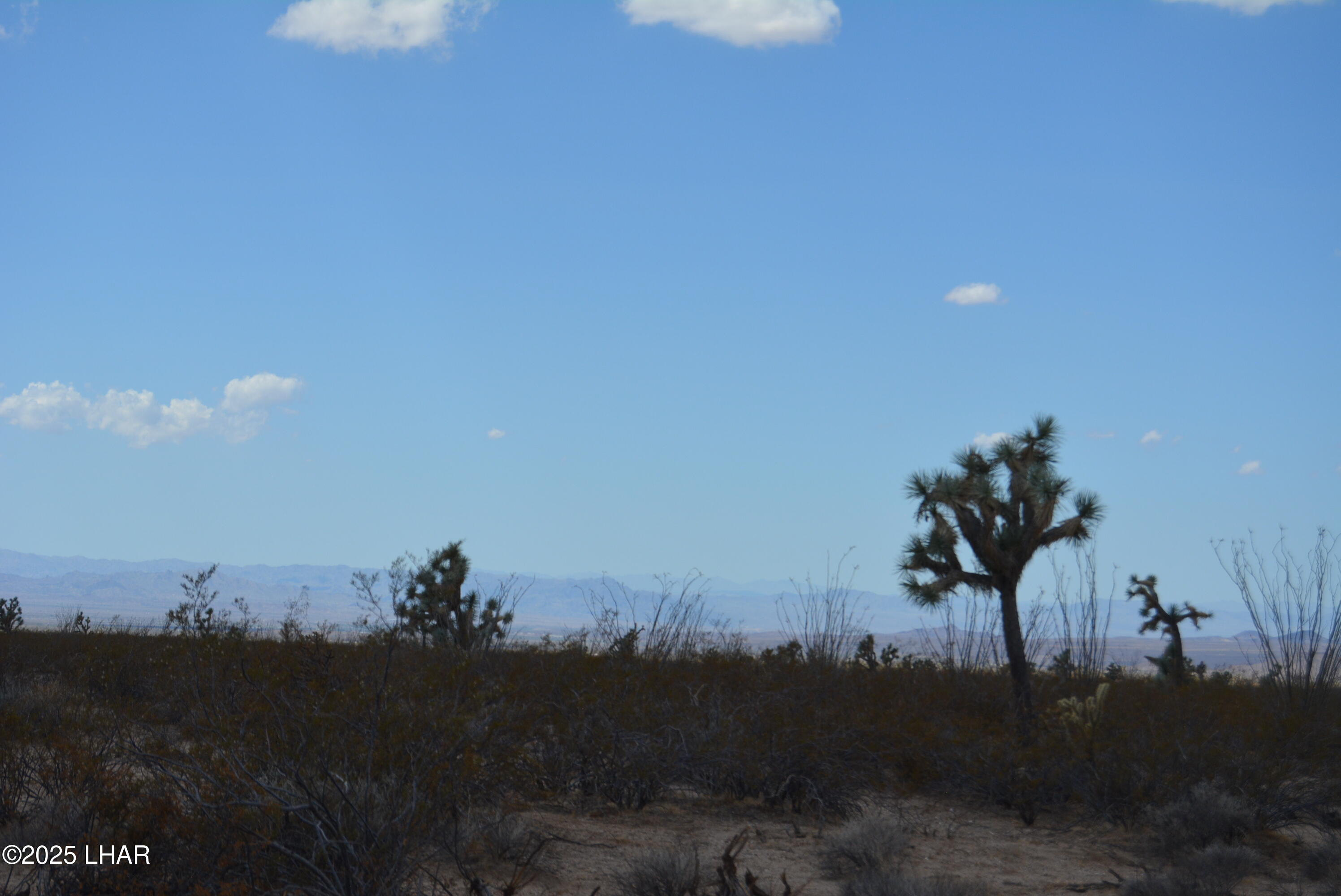 Lot P6 South A S Suzette Road Yucca, AZ 86438 - Photo 68 of 98 DSC_0510