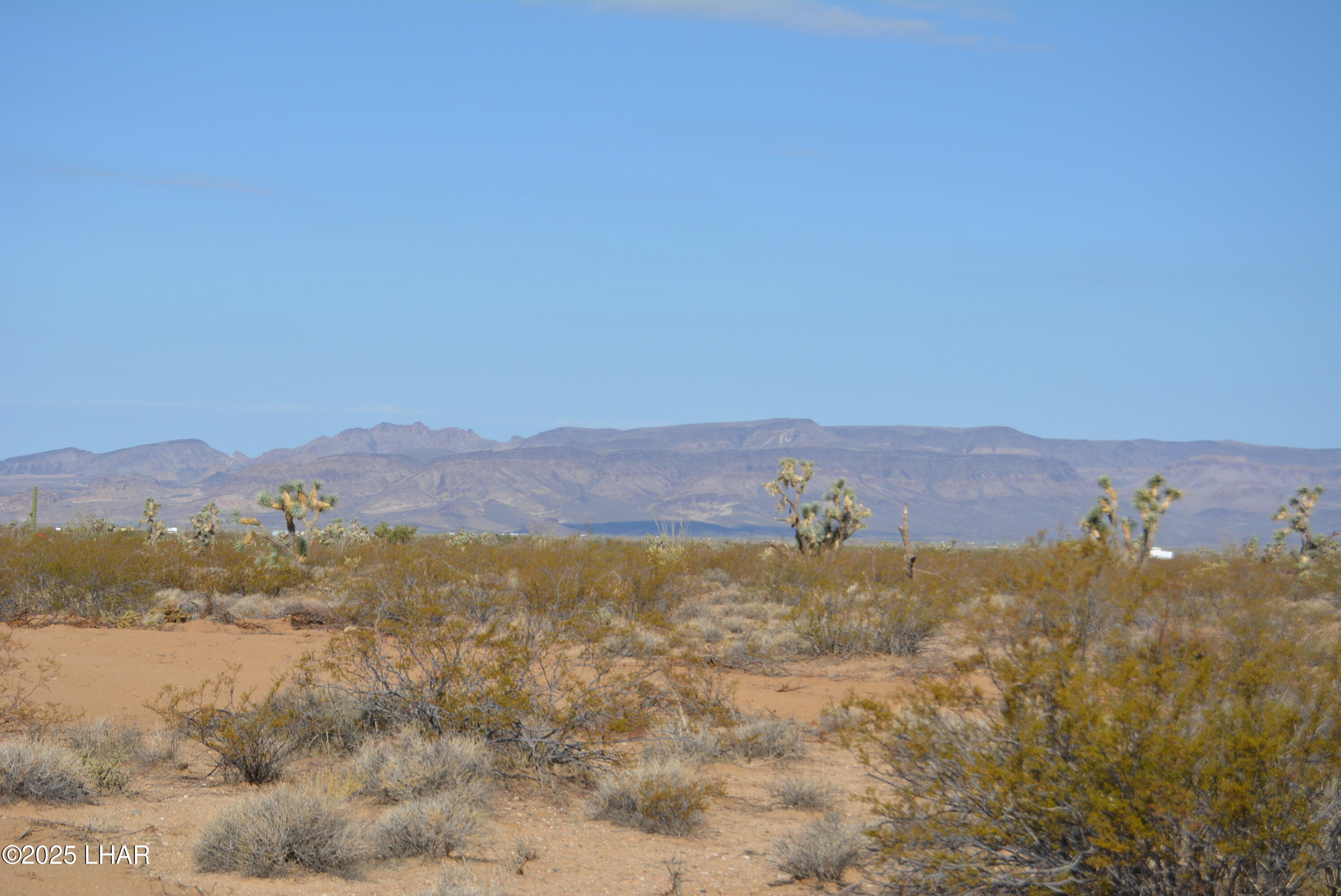 Lot P6 South A S Suzette Road Yucca, AZ 86438 - Photo 7 of 98 DSC_0378