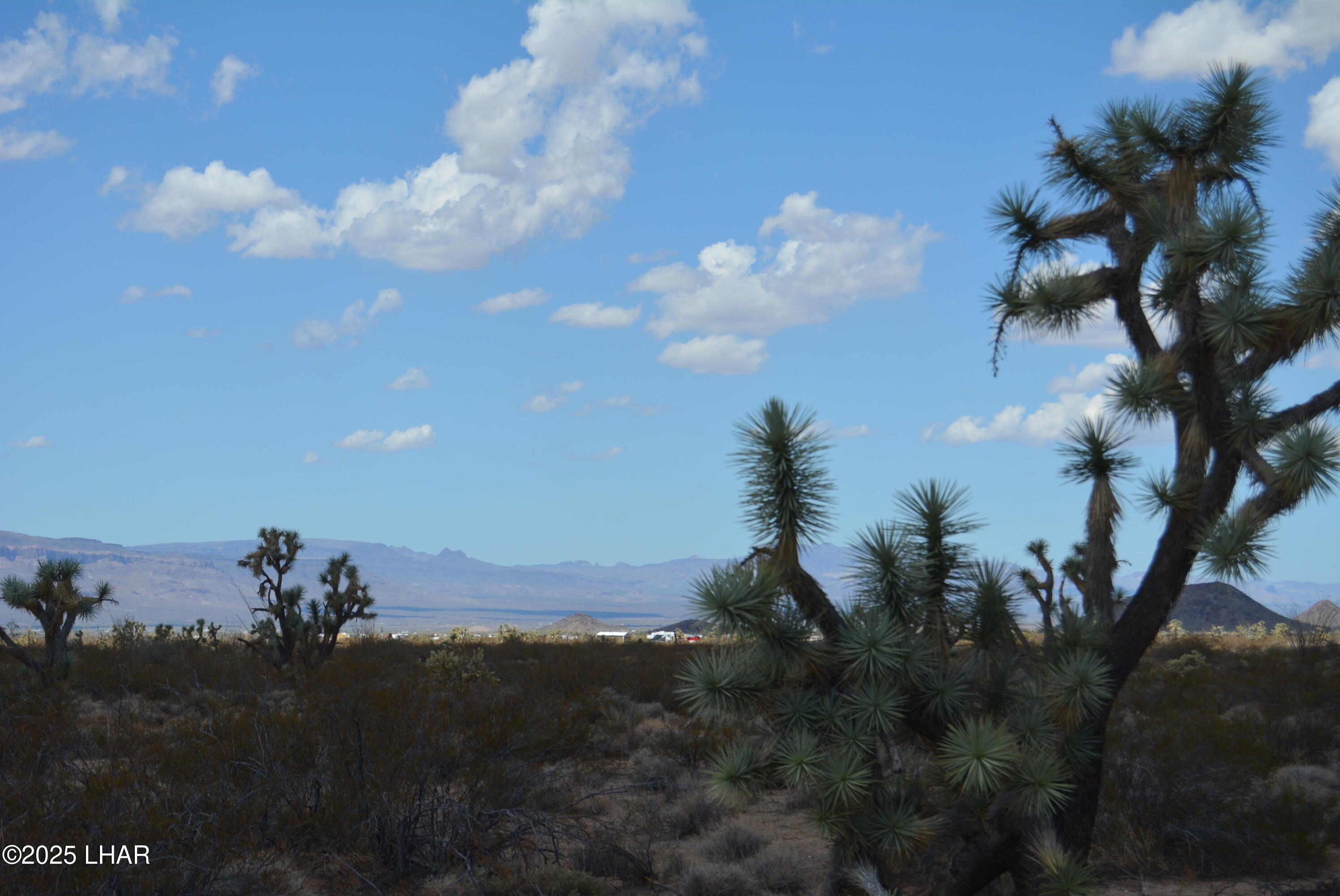 Lot P6 South A S Suzette Road Yucca, AZ 86438 - Photo 71 of 98 DSC_0513