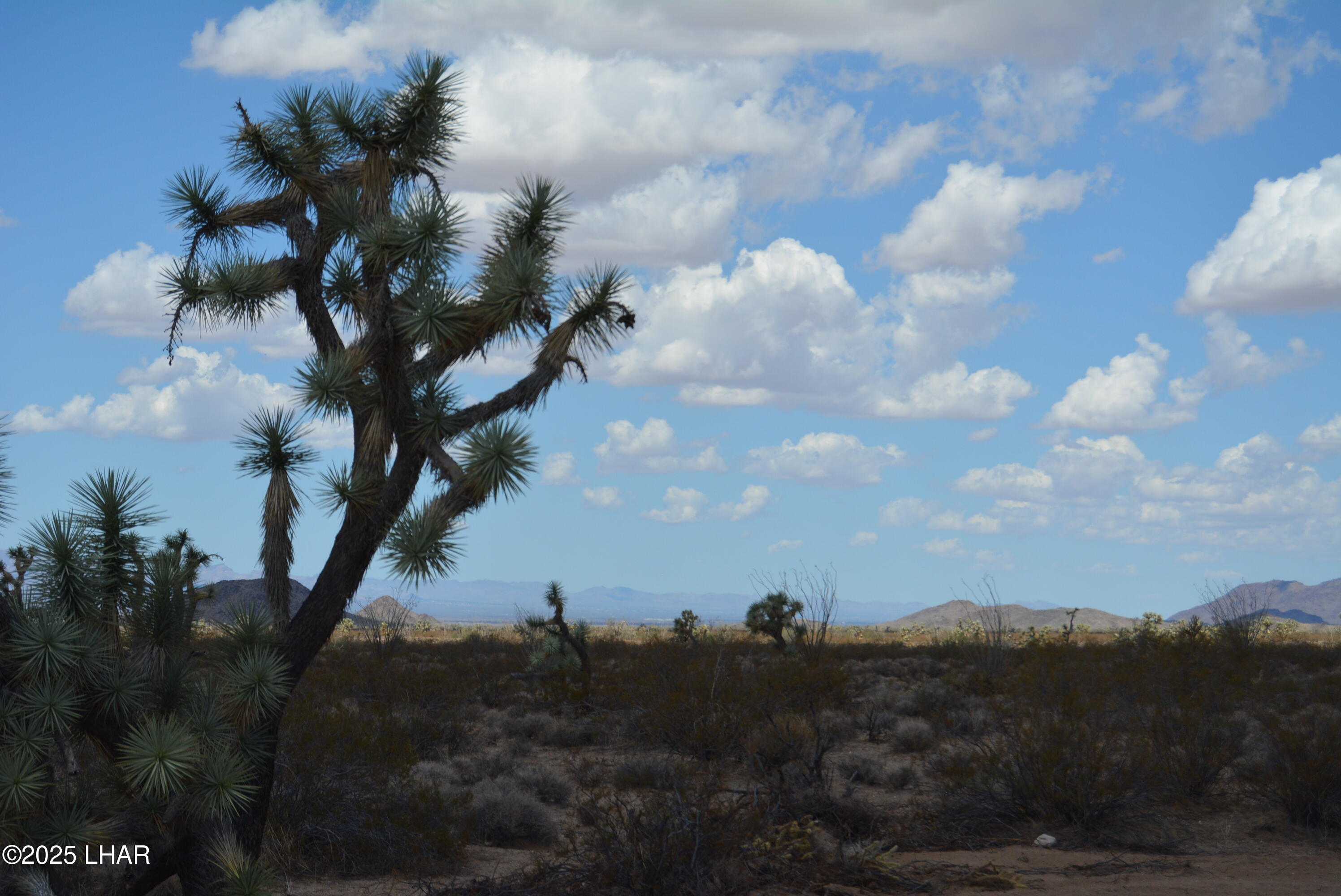 Lot P6 South A S Suzette Road Yucca, AZ 86438 - Photo 72 of 98 DSC_0514