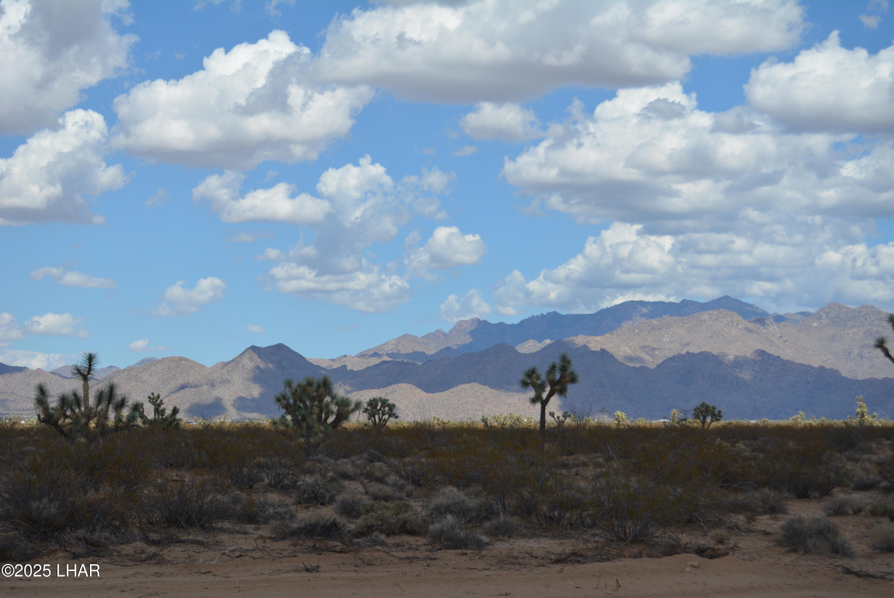 Lot P6 South A S Suzette Road Yucca, AZ 86438 - Photo 73 of 98 DSC_0516