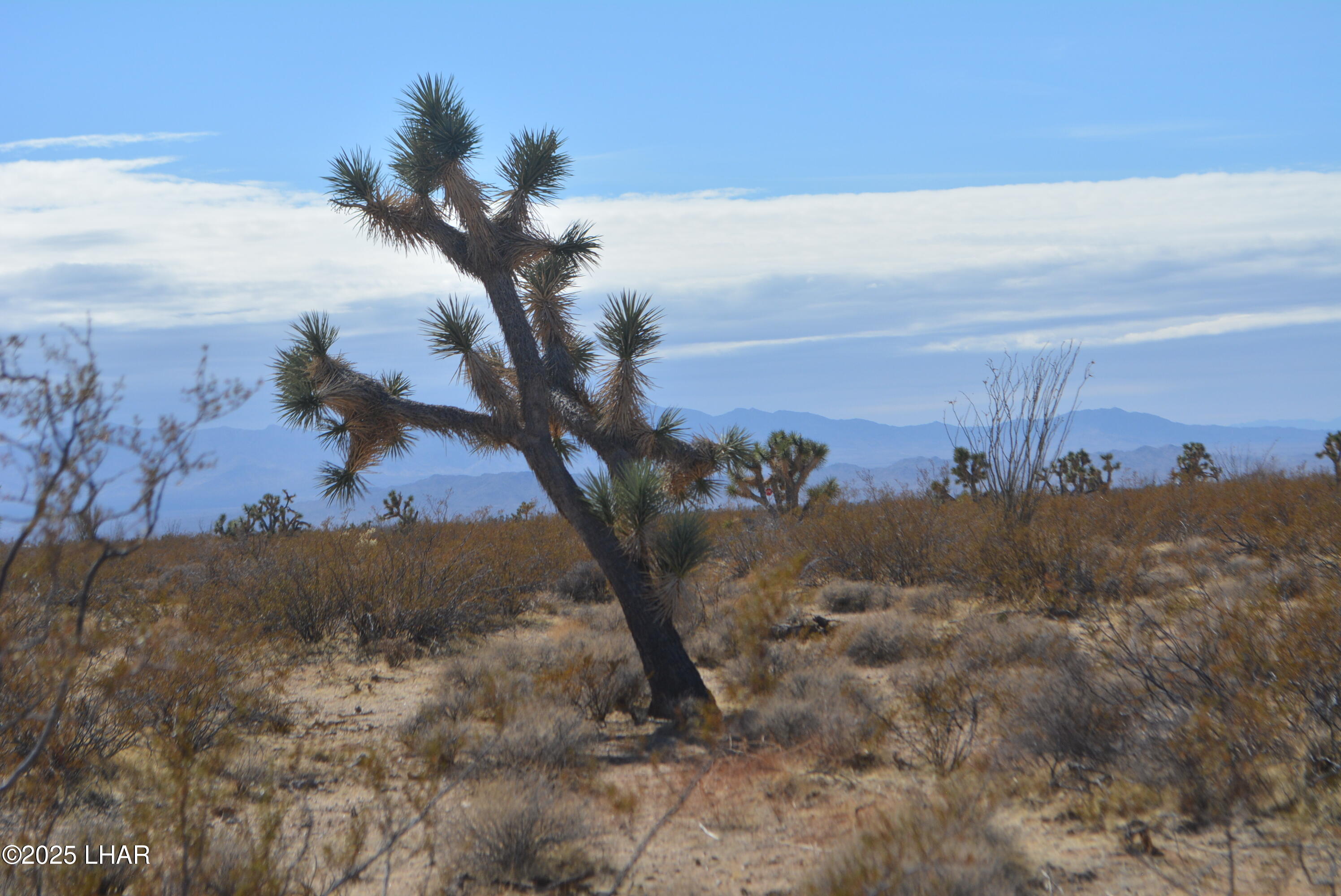 Lot P6 South A S Suzette Road Yucca, AZ 86438 - Photo 74 of 98 DSC_0550