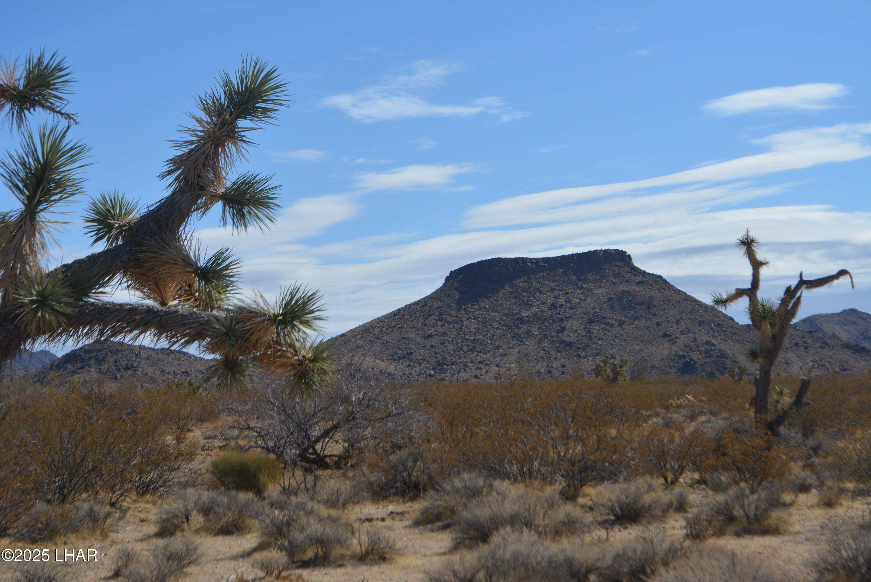 Lot P6 South A S Suzette Road Yucca, AZ 86438 - Photo 76 of 98 DSC_0552