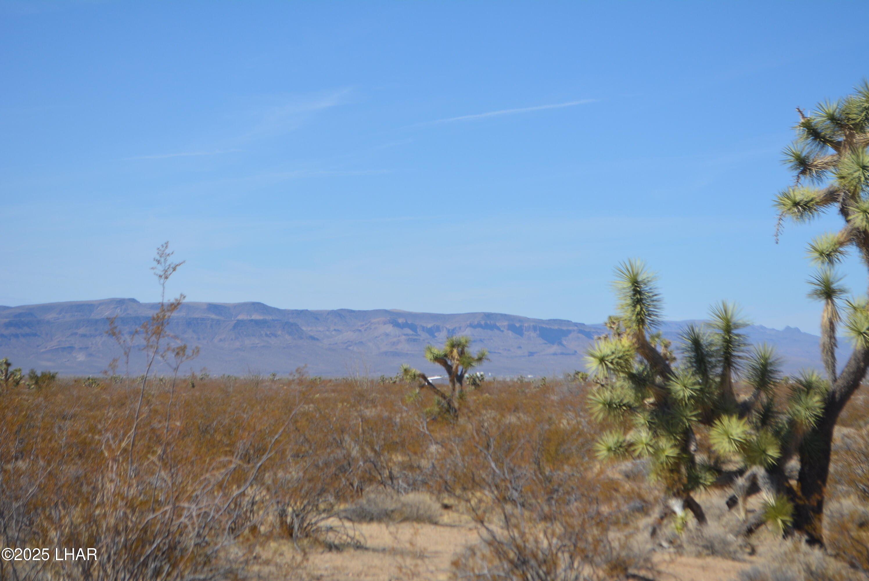Lot P6 South A S Suzette Road Yucca, AZ 86438 - Photo 78 of 98 DSC_0554