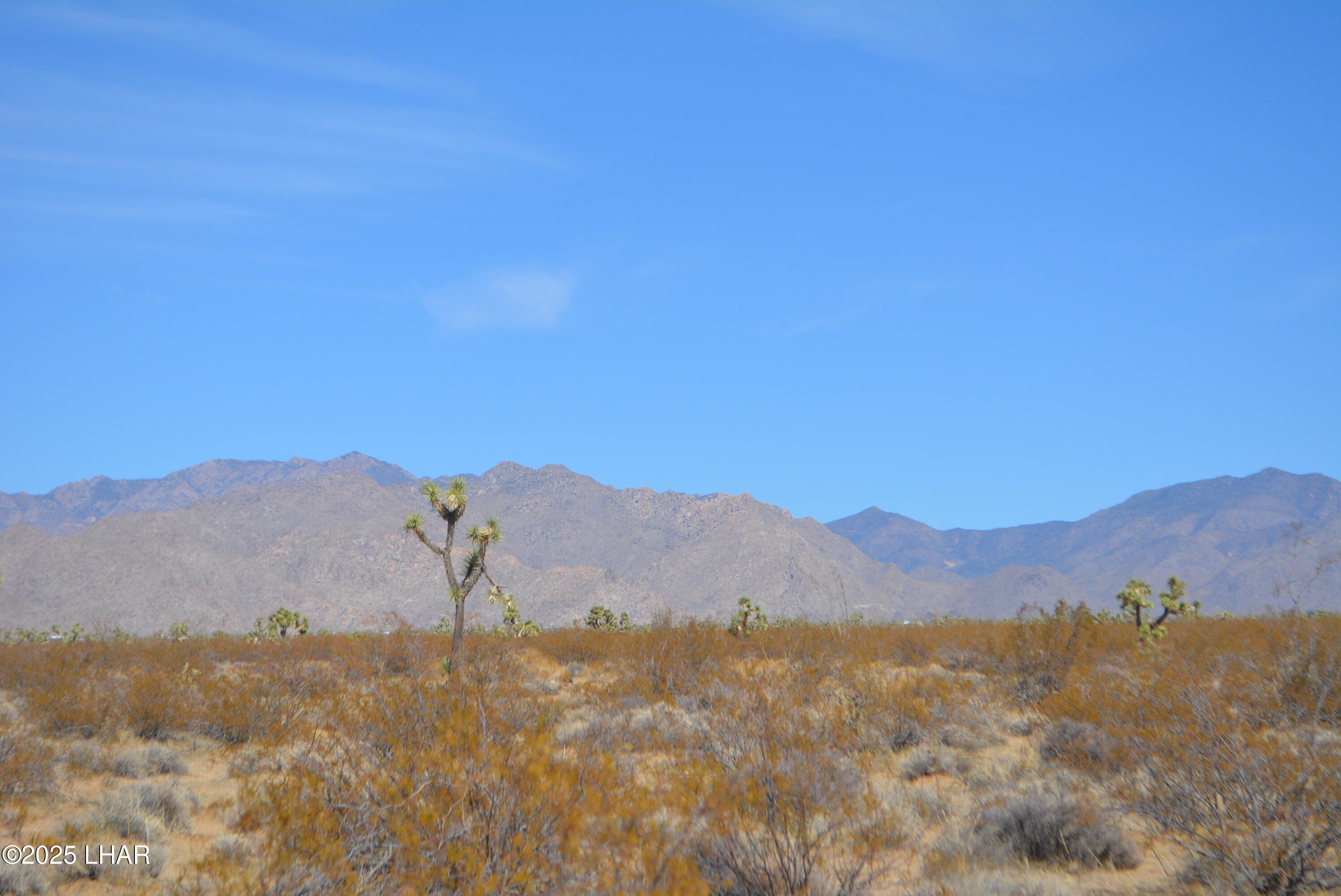 Lot P6 South A S Suzette Road Yucca, AZ 86438 - Photo 79 of 98 DSC_0555