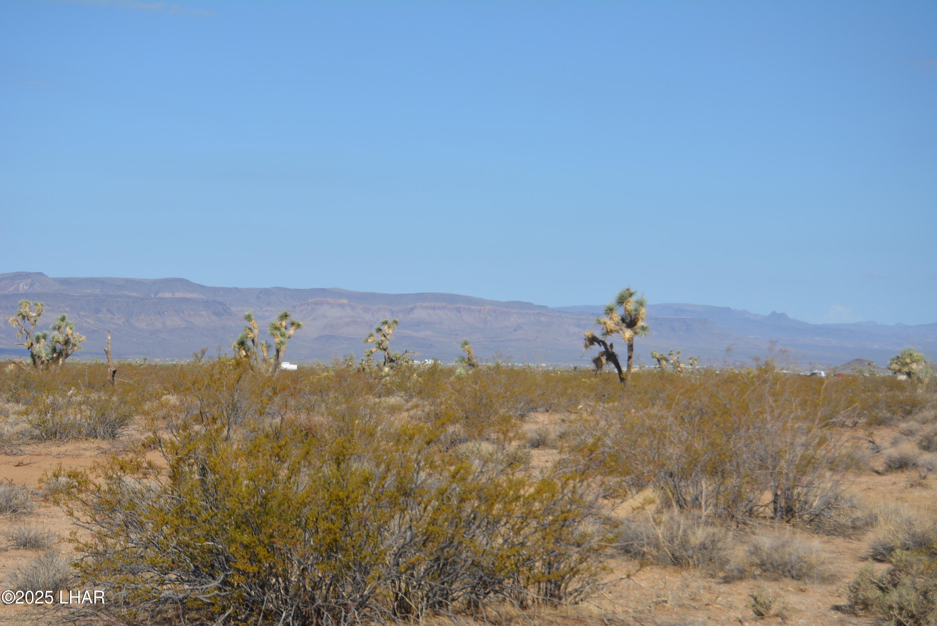 Lot P6 South A S Suzette Road Yucca, AZ 86438 - Photo 8 of 98 DSC_0379