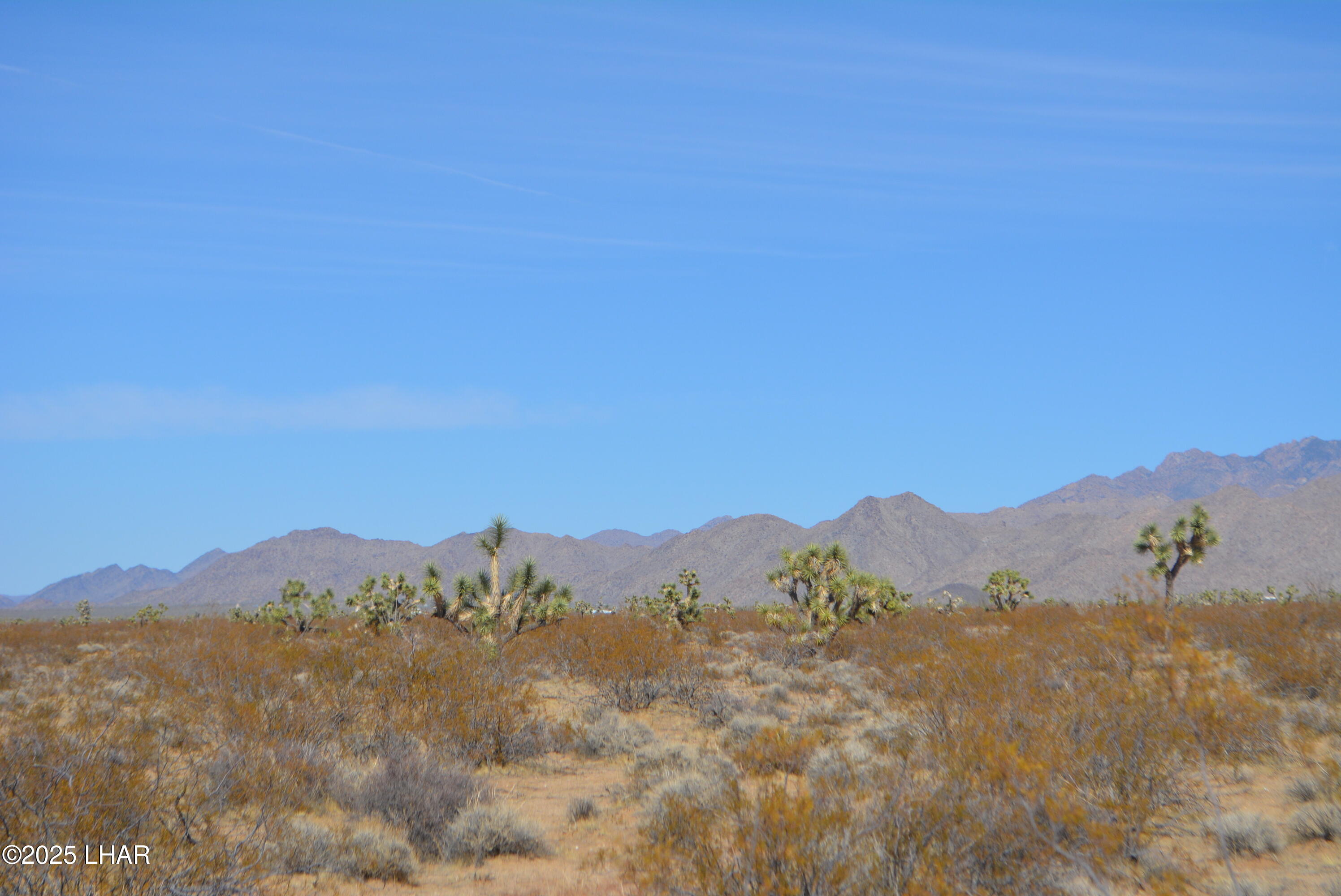Lot P6 South A S Suzette Road Yucca, AZ 86438 - Photo 81 of 98 DSC_0557
