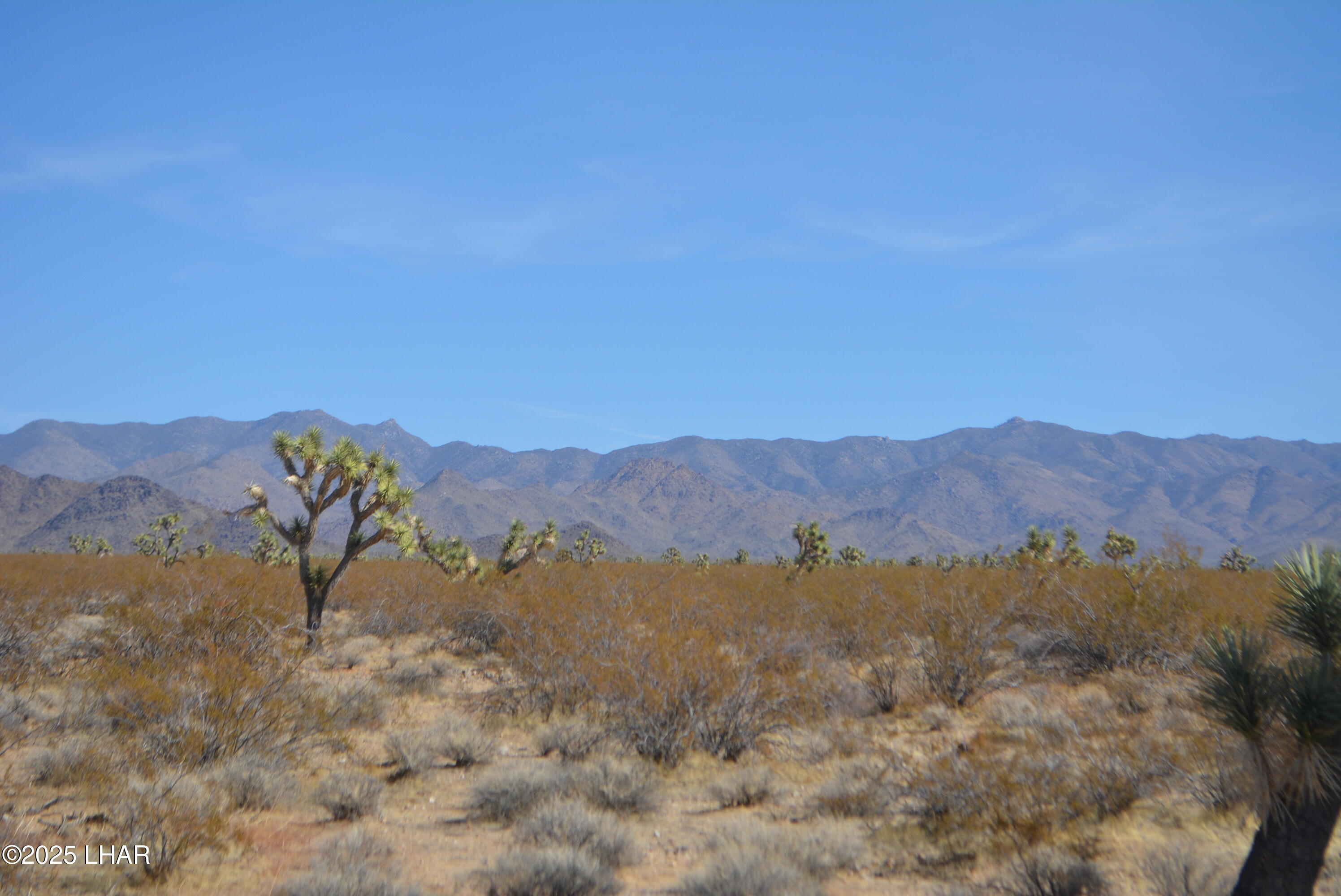 Lot P6 South A S Suzette Road Yucca, AZ 86438 - Photo 82 of 98 DSC_0558