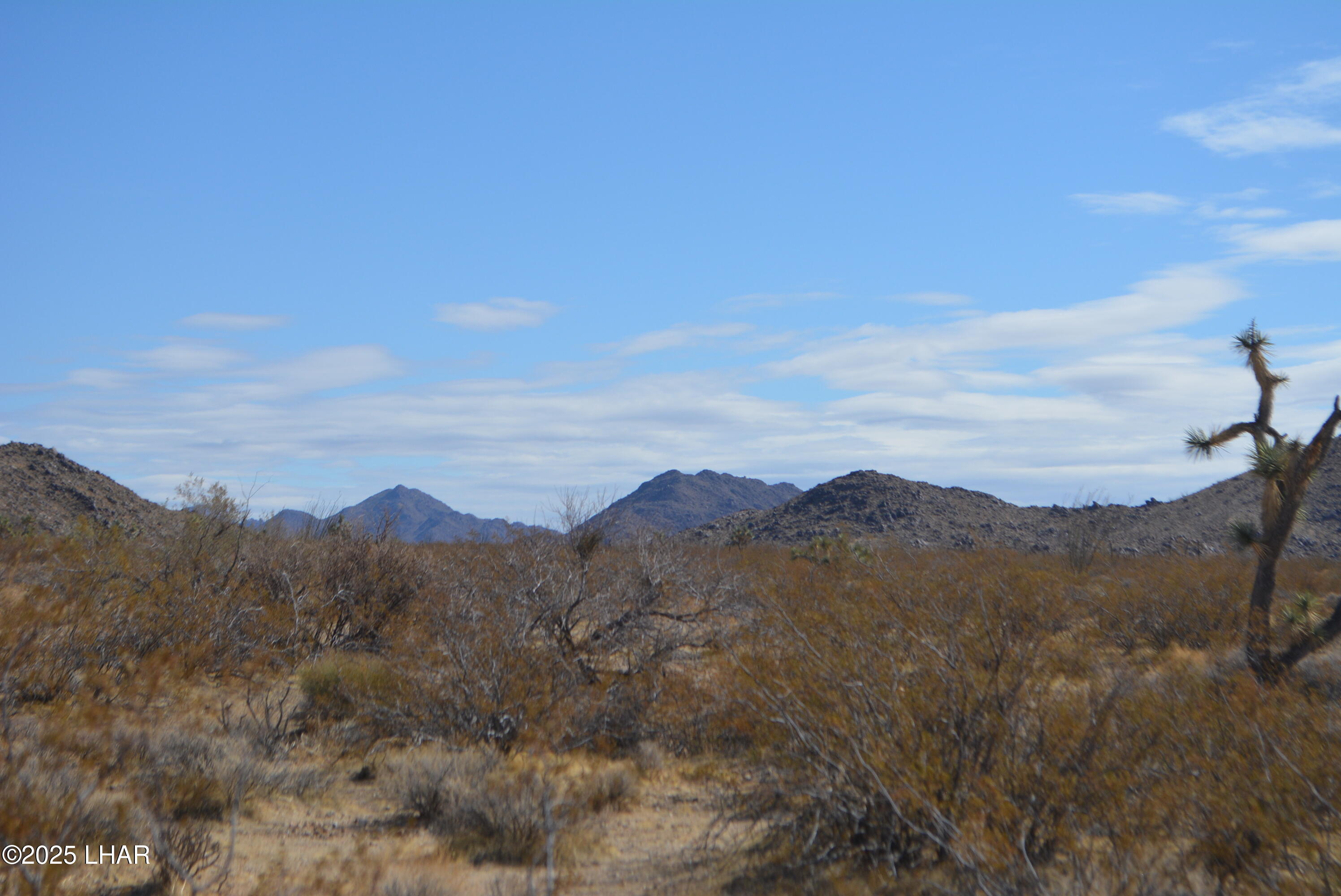 Lot P6 South A S Suzette Road Yucca, AZ 86438 - Photo 85 of 98 DSC_0561