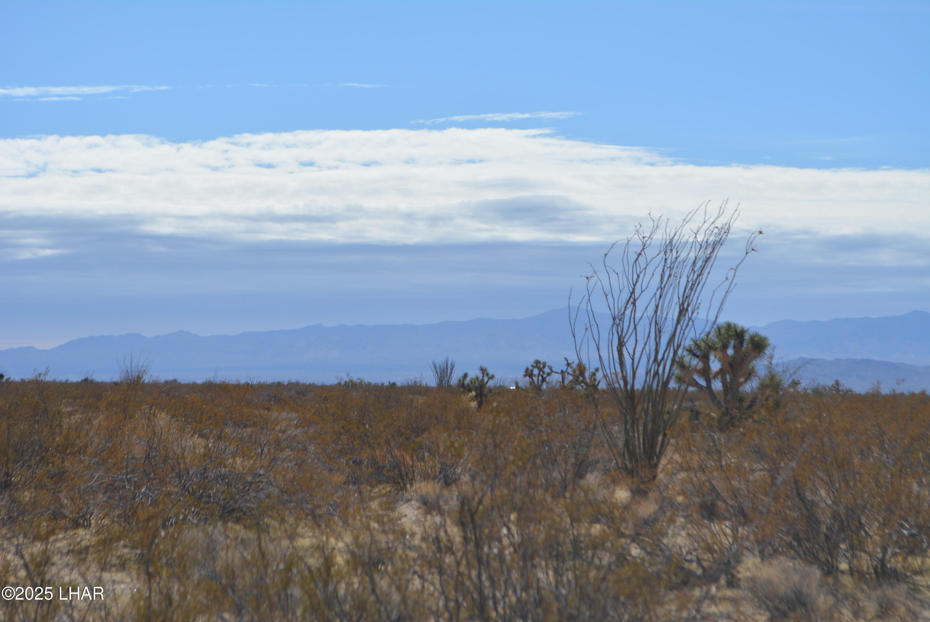 Lot P6 South A S Suzette Road Yucca, AZ 86438 - Photo 88 of 98 DSC_0564
