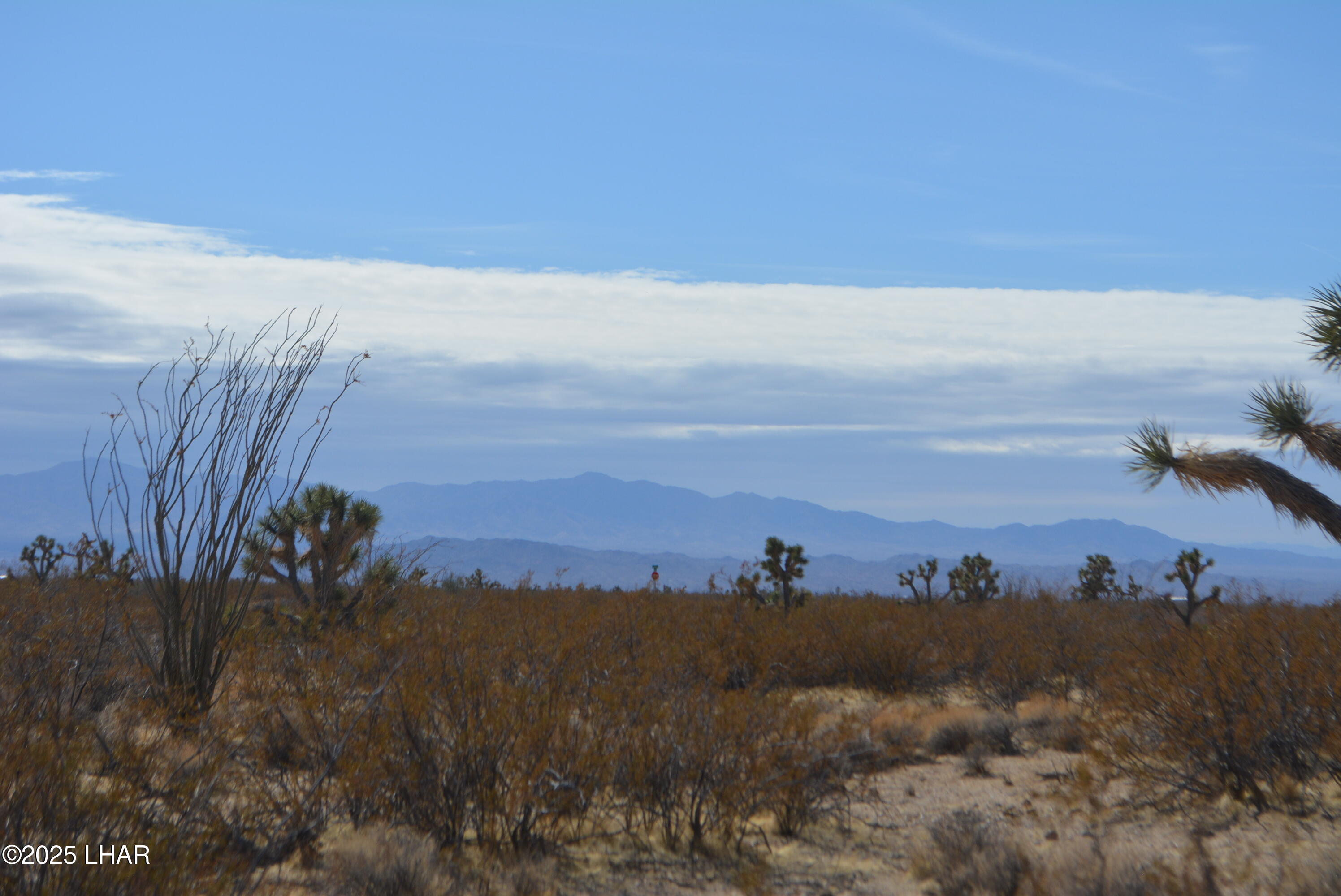 Lot P6 South A S Suzette Road Yucca, AZ 86438 - Photo 89 of 98 DSC_0565