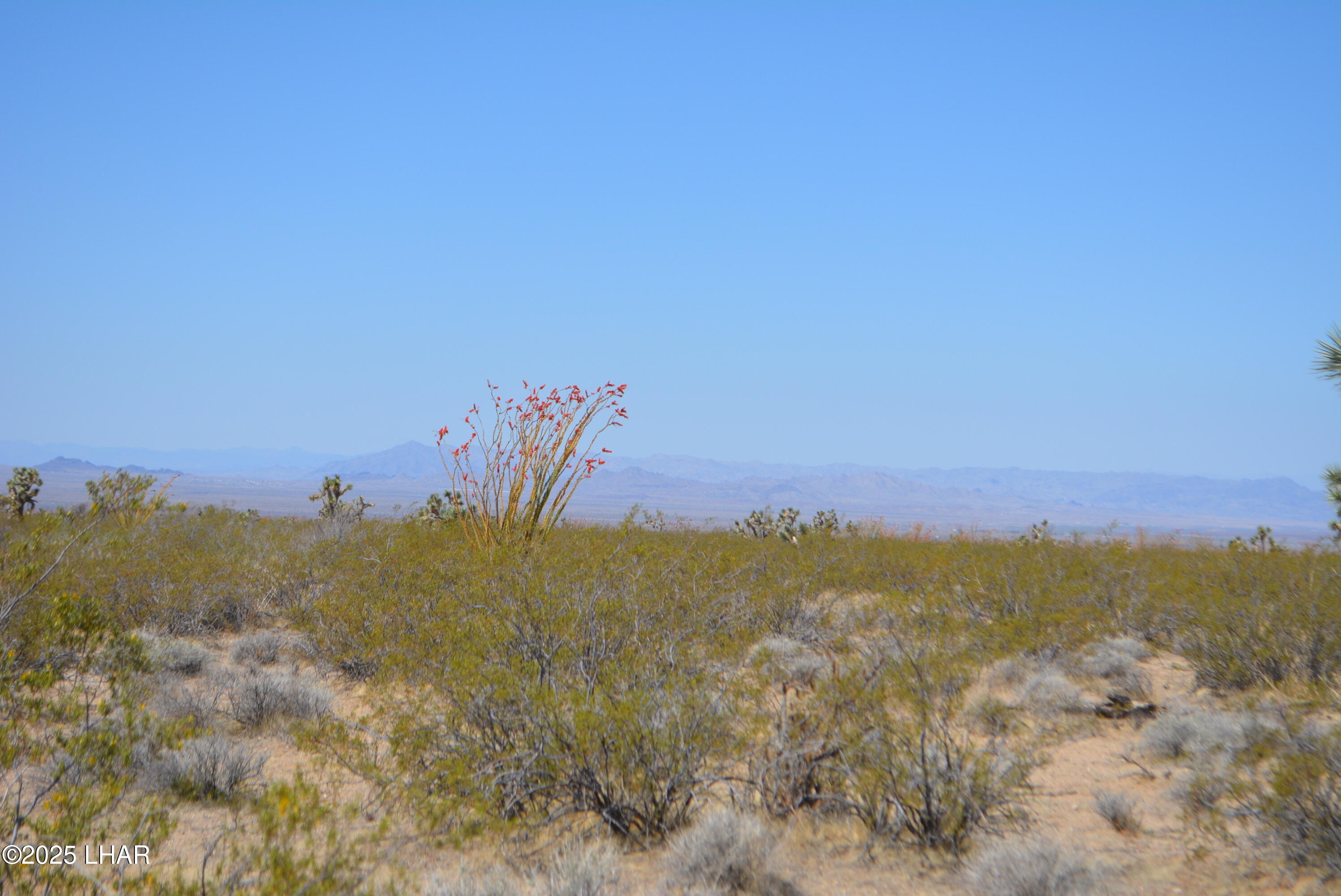 Lot P6 South A S Suzette Road Yucca, AZ 86438 - Photo 9 of 98 DSC_1544
