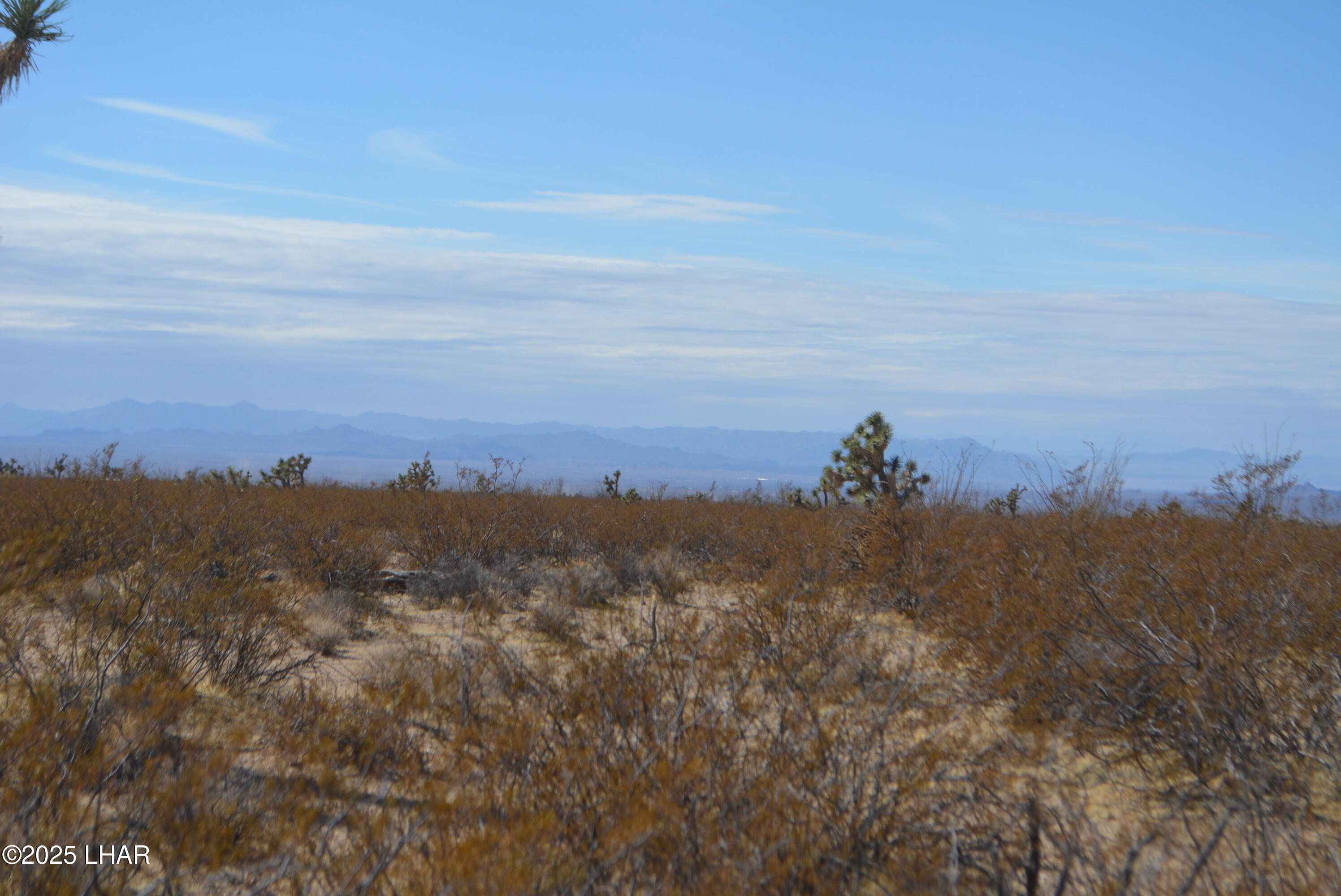 Lot P6 South A S Suzette Road Yucca, AZ 86438 - Photo 91 of 98 DSC_0567
