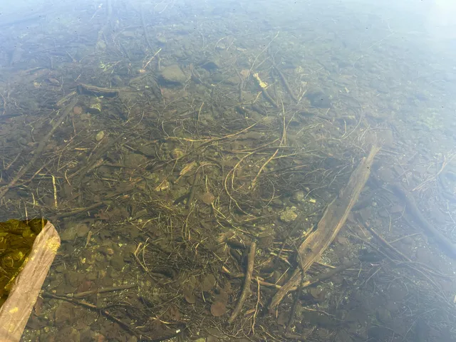 $595,000 | 262 North Shore Road, Brownville, ME 04414