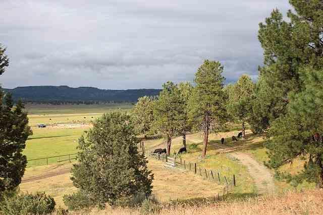 22779 Sprague River Road Chiloquin, OR 97624 - Photo 21 of 23 Additional Photo