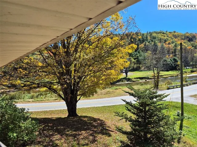 a view of a yard with an trees