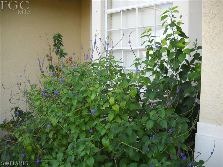 6973 Debrita Road North Port, FL 34291 - Photo 18 of 18 a backyard of a house with lots of green space
