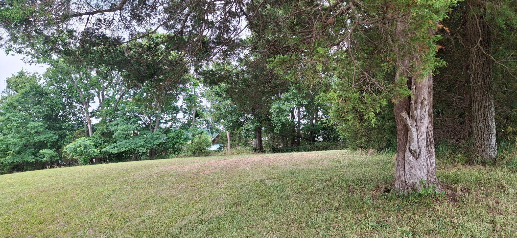 0 Tract 1 Cordova Road Williamstown, KY 41097 - Photo 1 of 7 1000054791
